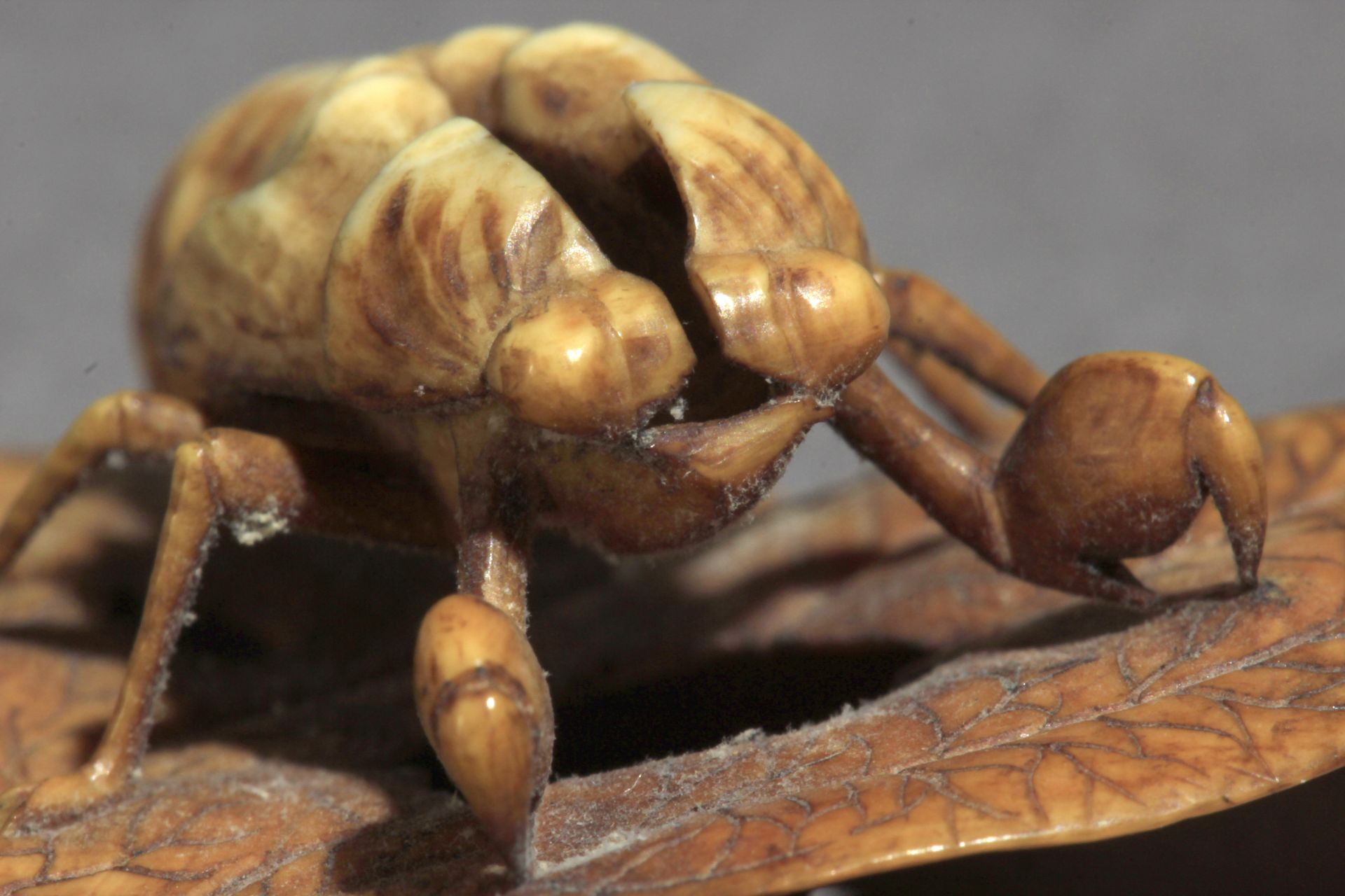 A 19th century Japanese netsuke from Meiji period - Bild 6 aus 9