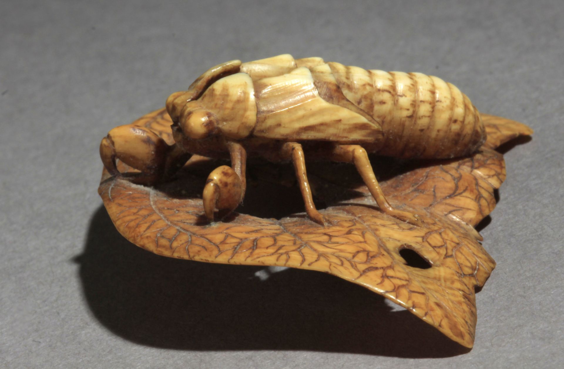 A 19th century Japanese netsuke from Meiji period - Image 3 of 9