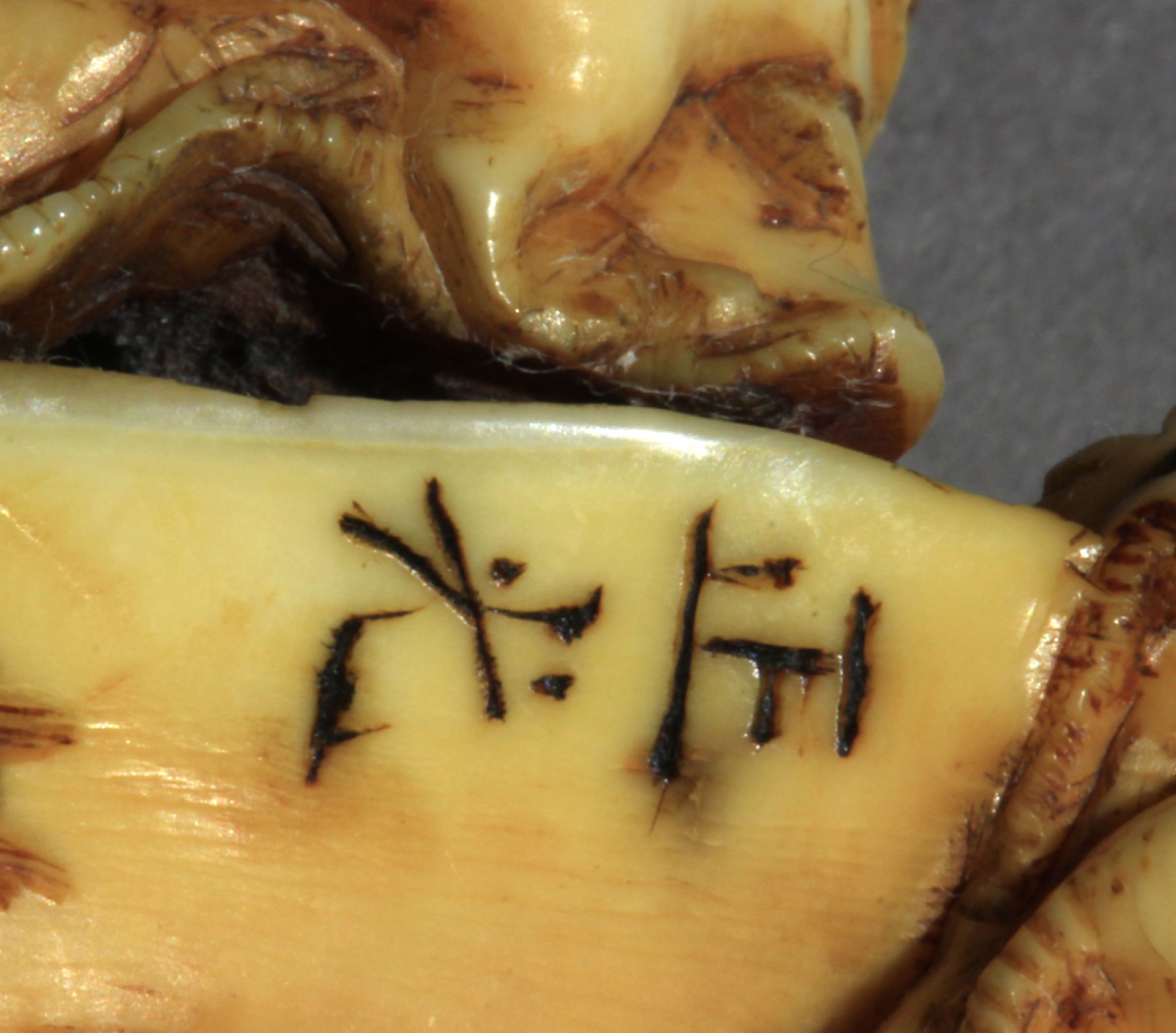 A mid 19th century Japanese netsuke from Meiji period - Image 5 of 5