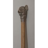 A 19th century walking stick