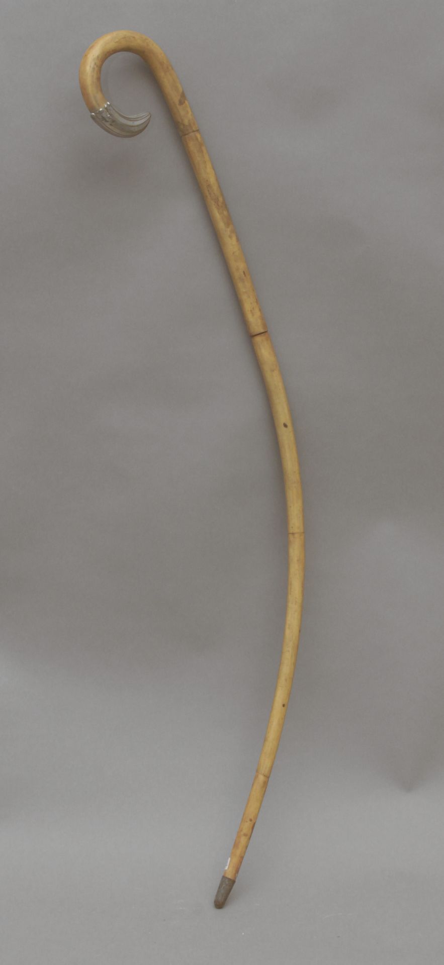 A wooden curved walking stick circa 1900 - Image 2 of 4