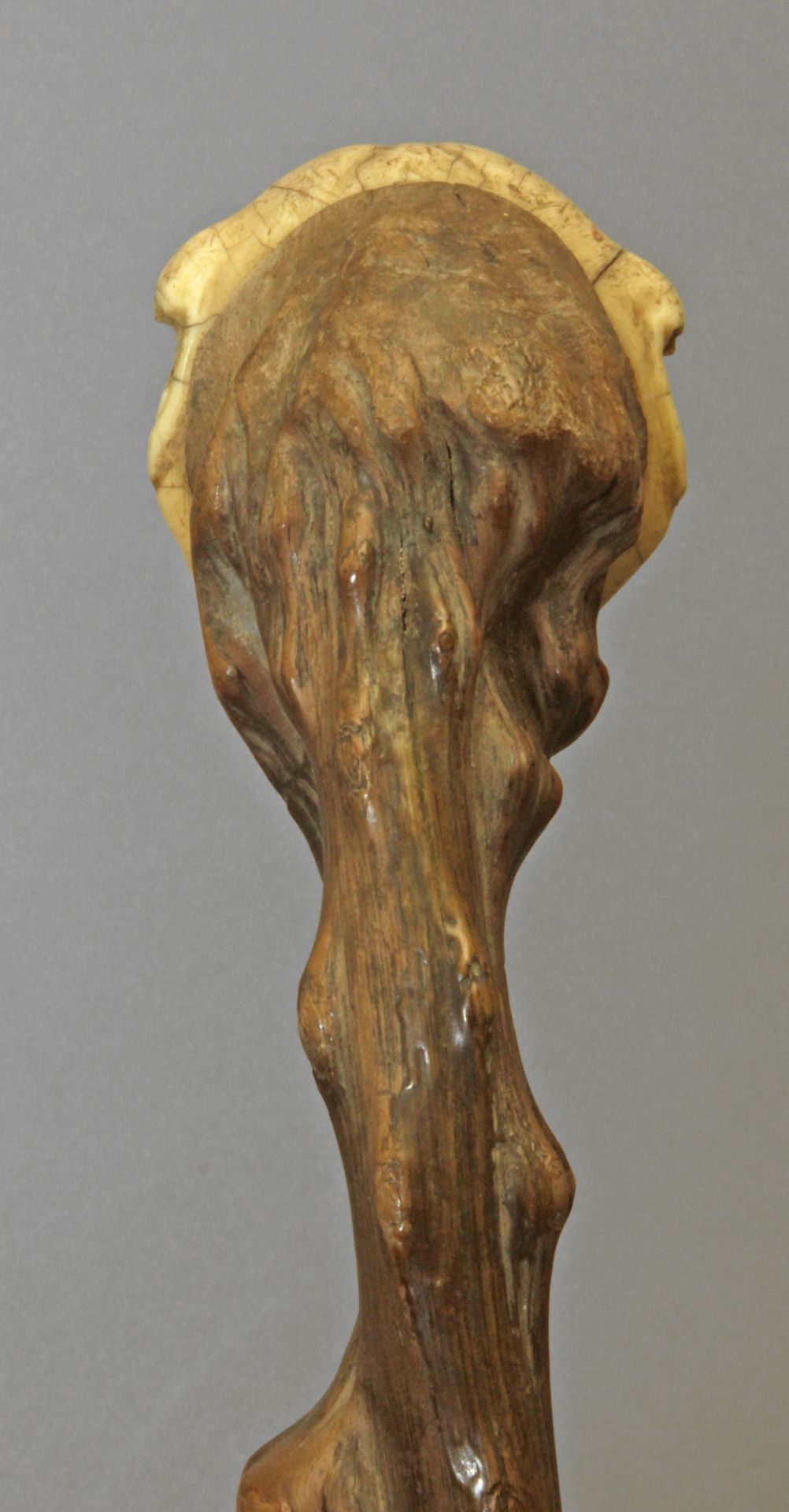 A 19th century possibly English walking stick - Image 6 of 8