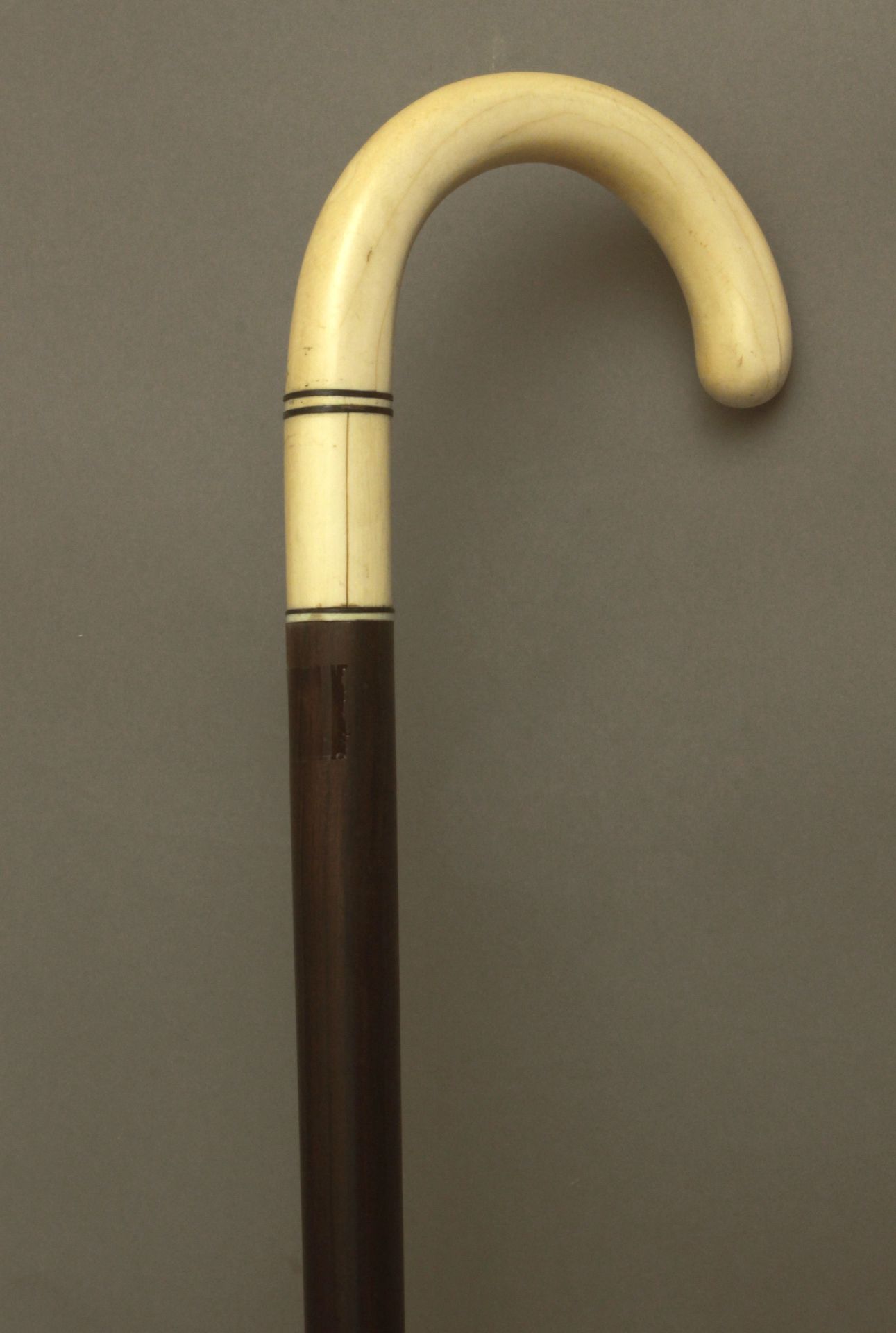 A curved walking stick circa 1900