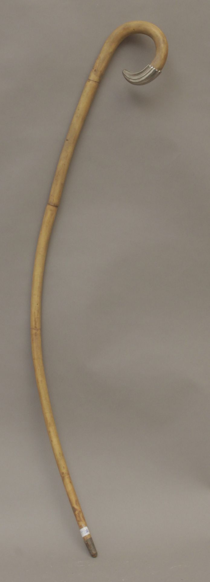 A wooden curved walking stick circa 1900 - Image 3 of 4