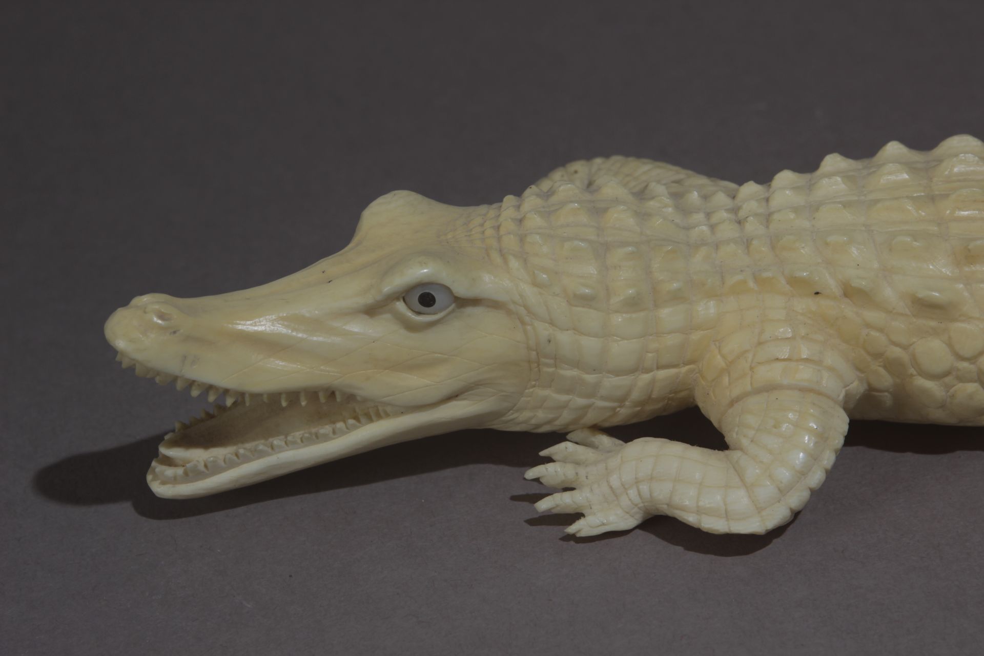 A first third of 20th century sculpture of a crocodile in carved ivory - Bild 4 aus 5