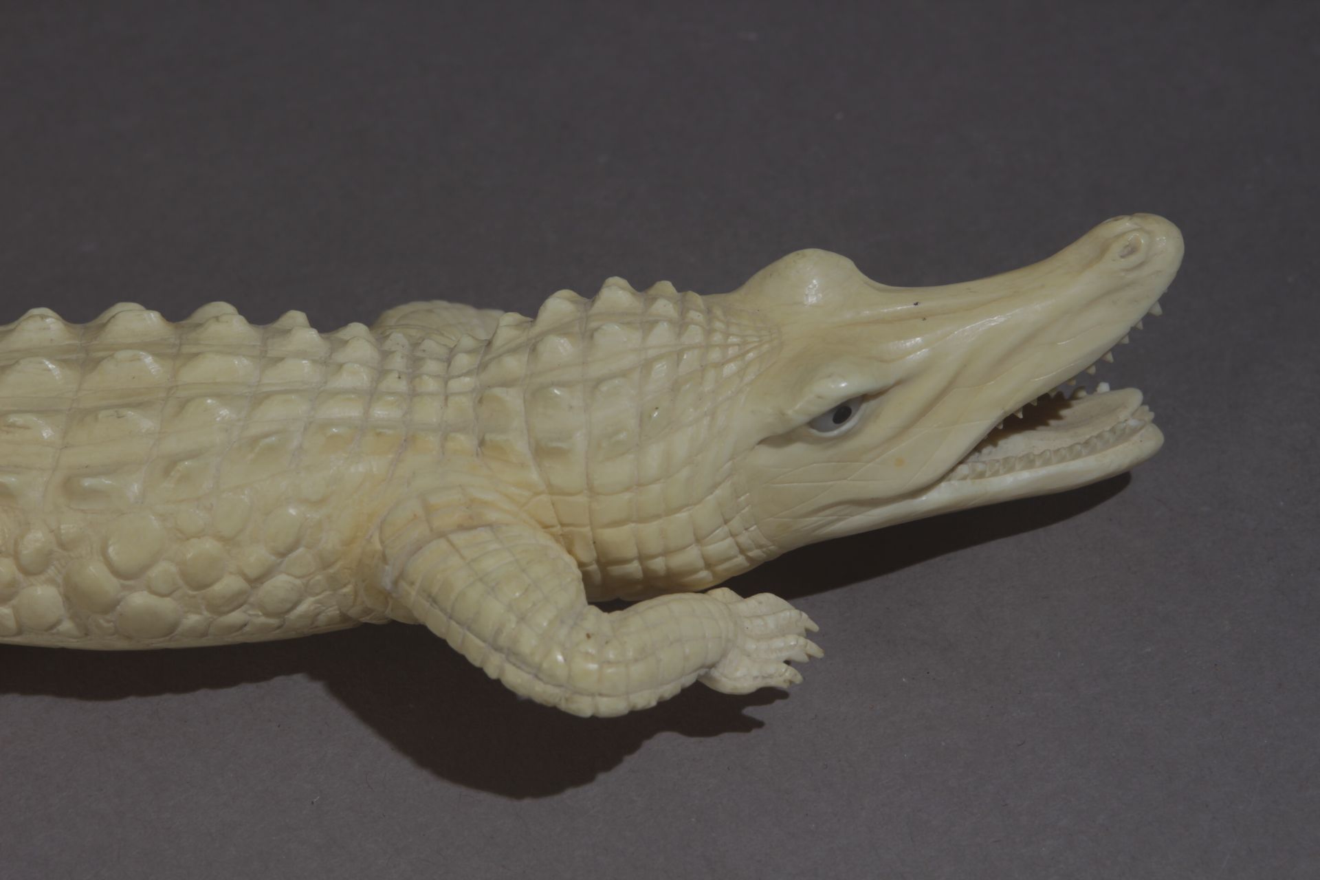 A first third of 20th century sculpture of a crocodile in carved ivory - Bild 5 aus 5