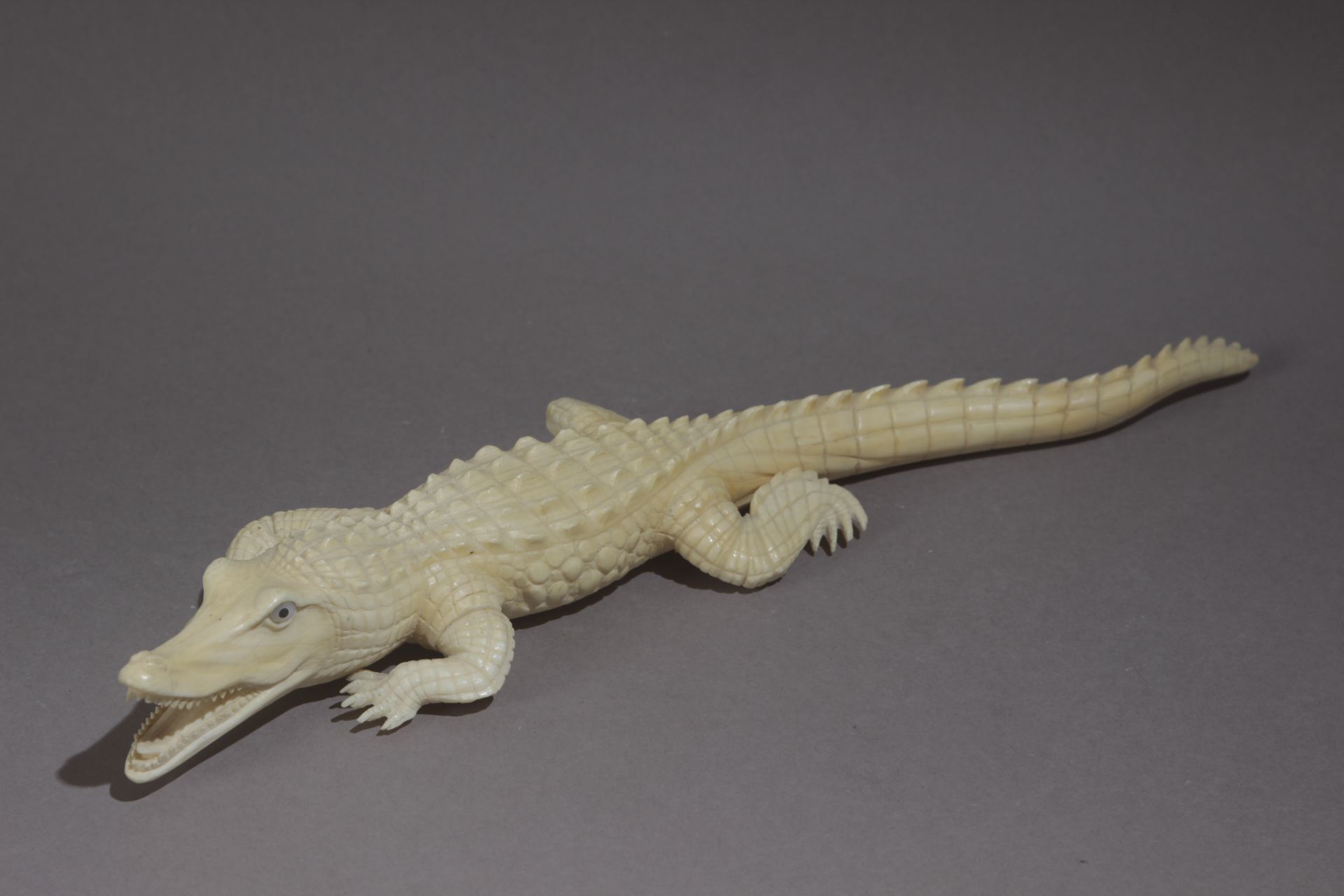 A first third of 20th century sculpture of a crocodile in carved ivory