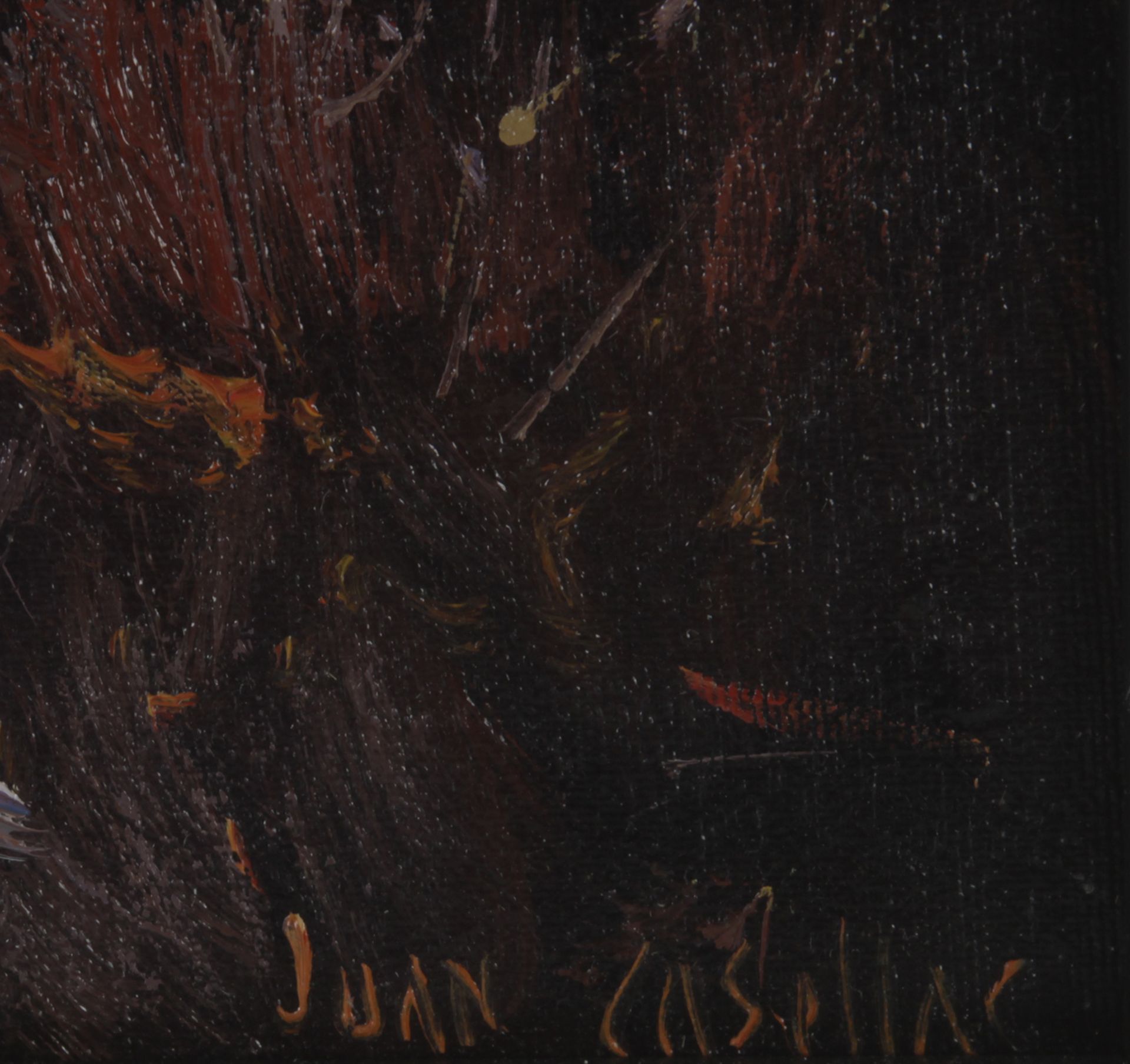 Juan Casellas - Bild 3 aus 4