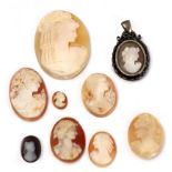 A mid 20th century collection of 10 cameos in carved shell and agate