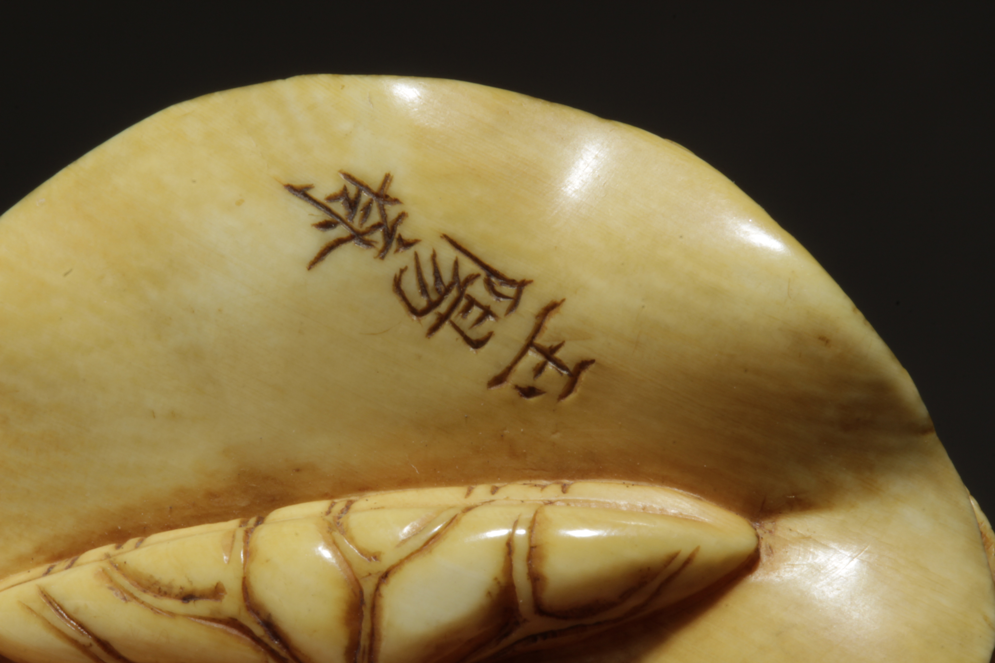 A 19th century Japanese netsuke from Meiji period - Image 7 of 7