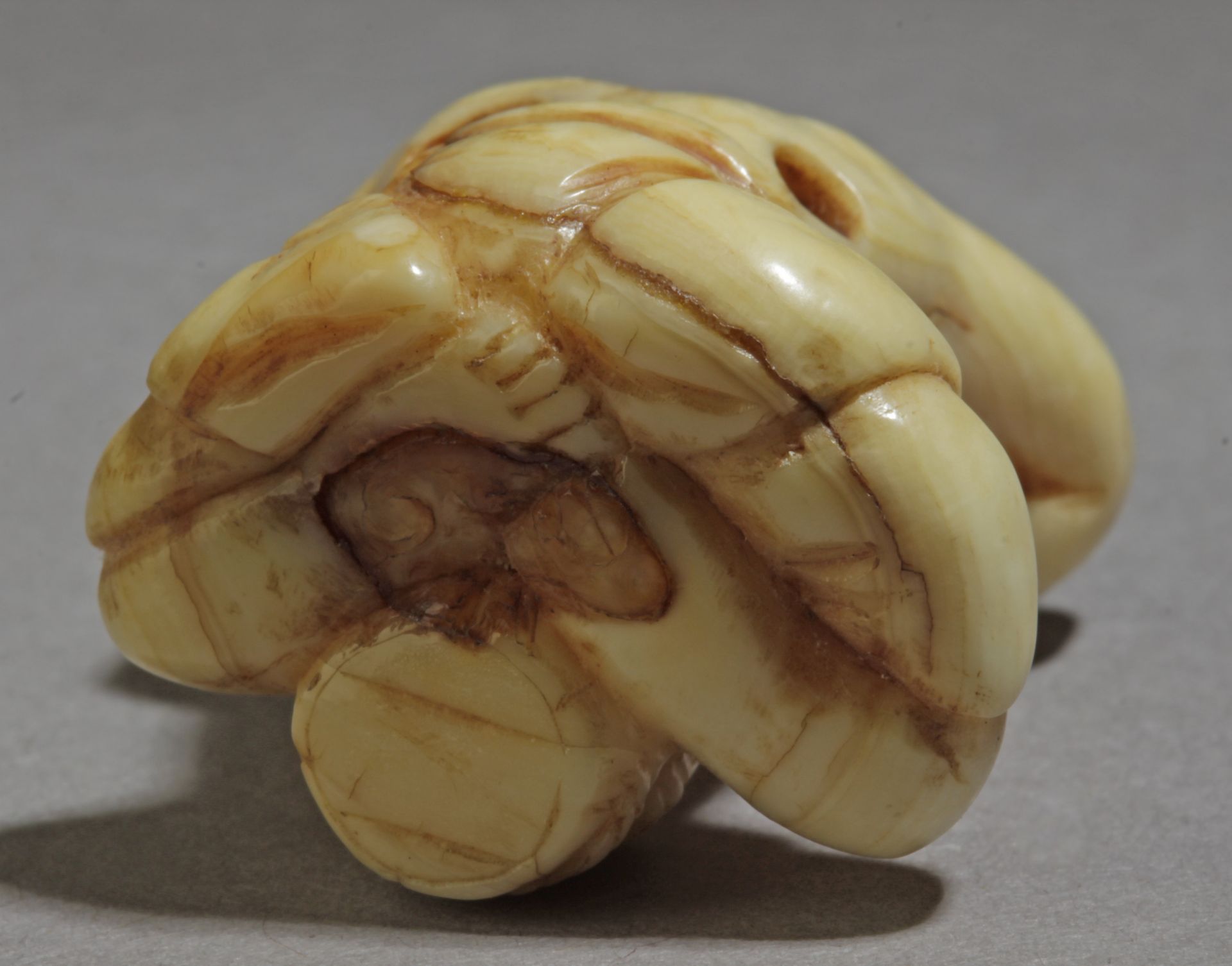 An early 19th century Japanese netsuke from Edo period - Image 6 of 6