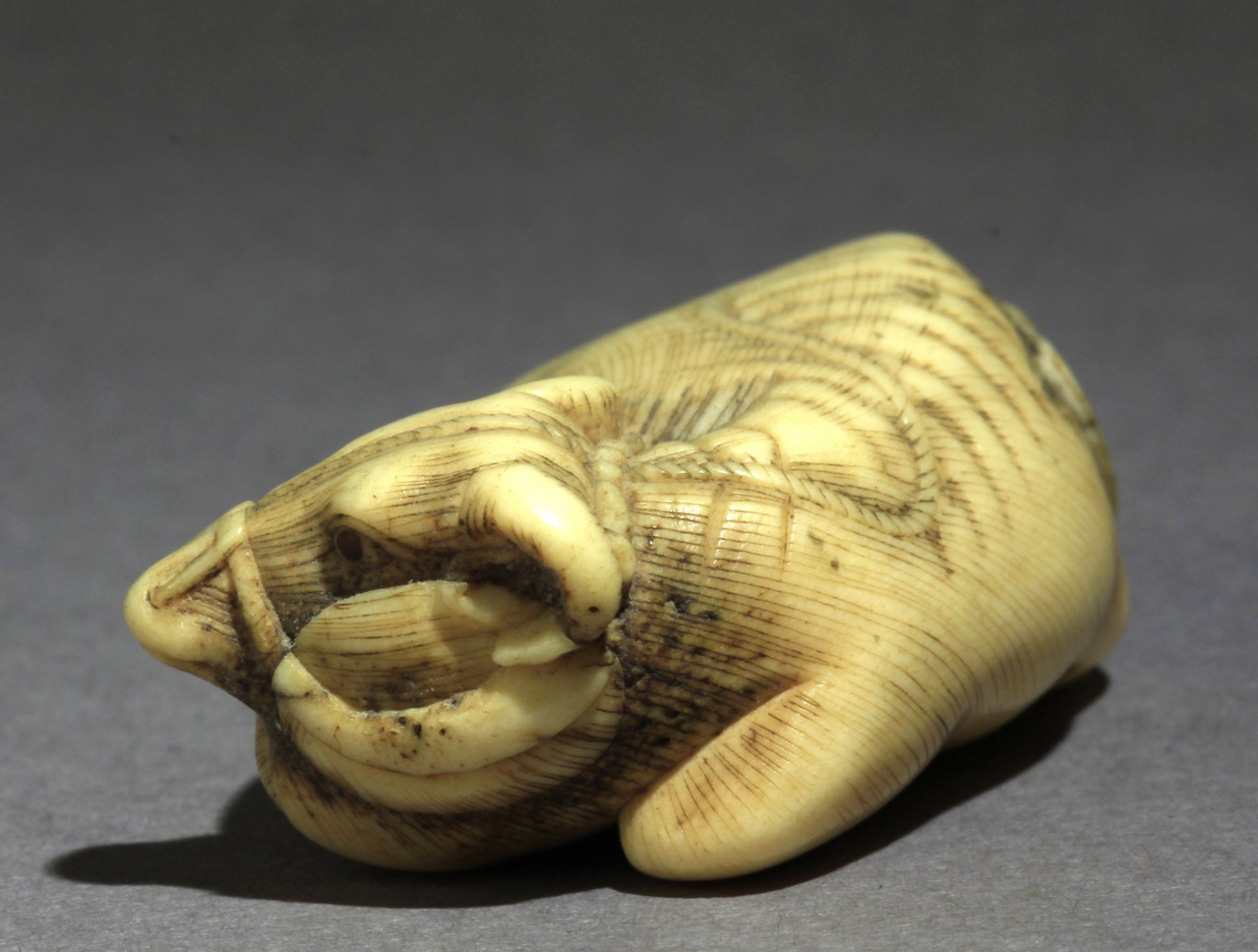 An early 19th century Japanese netsuke from Edo period - Image 3 of 7