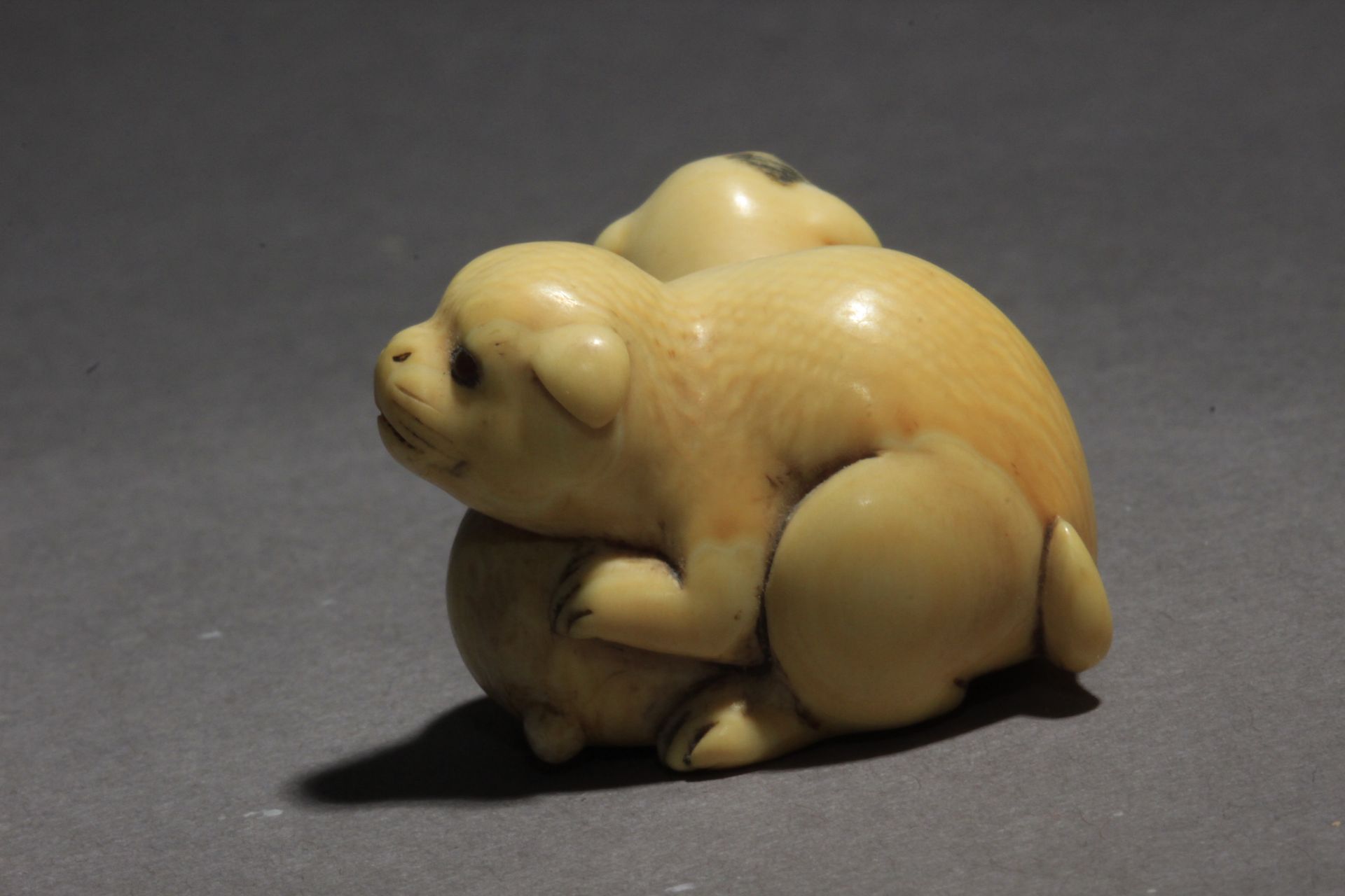 An early 19th century Japanese netsuke from Edo period. Signed Tomotaka? - Bild 4 aus 8