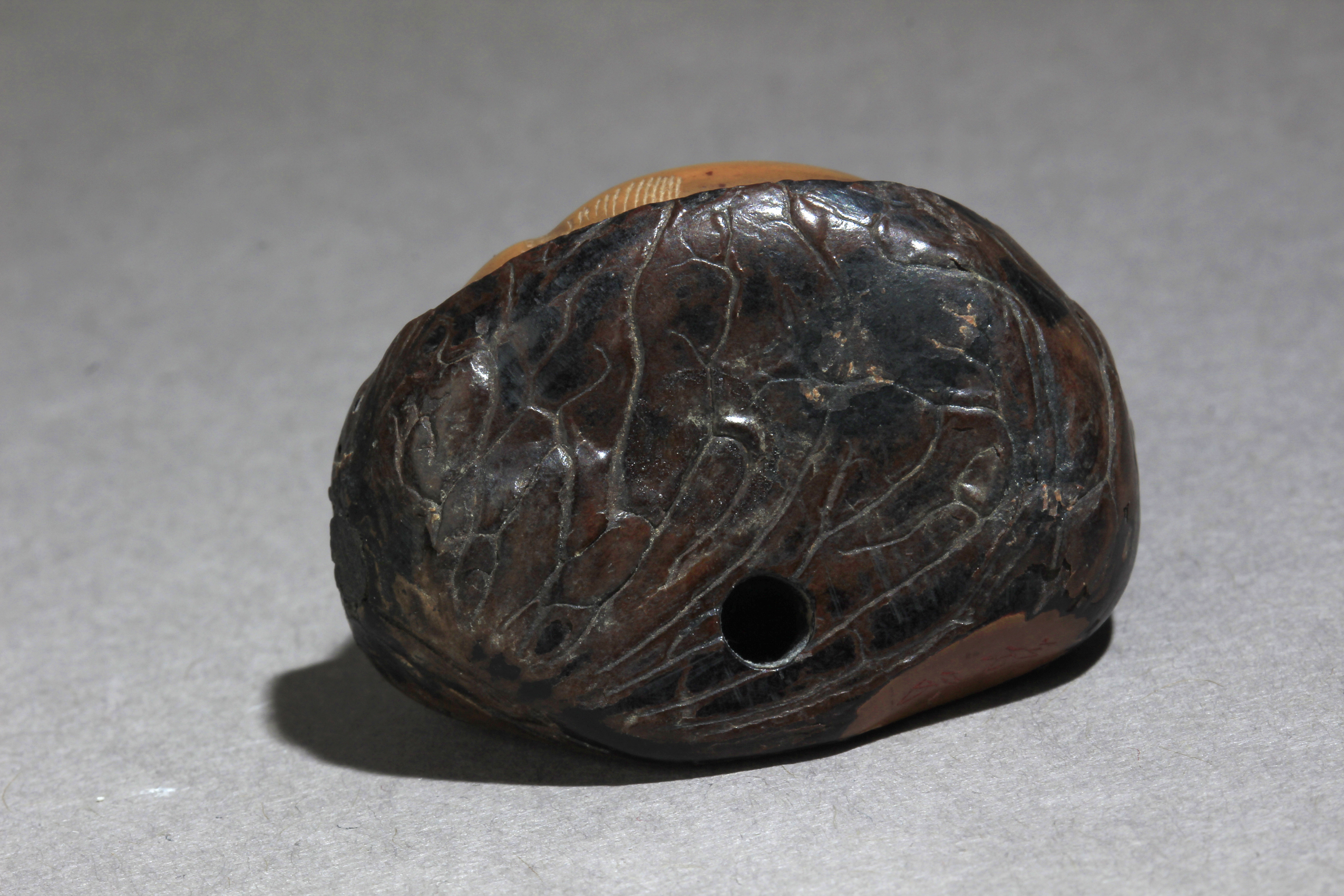 An early 19th century Japanese netsuke from Meiji period. Signed - Image 5 of 7