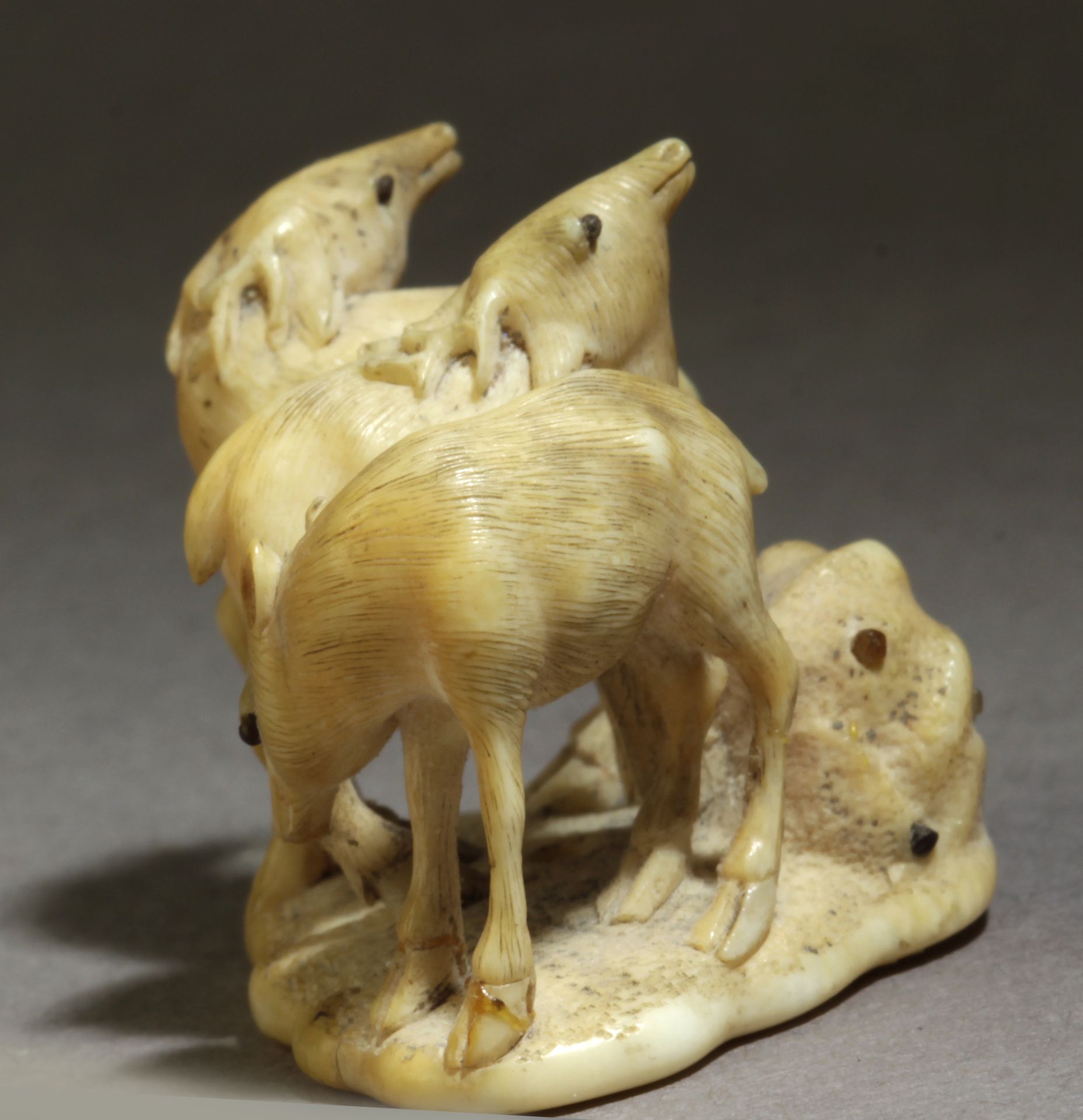 A late 19th century Japanese netsuke from Meiji period. Signed Masayuki - Image 5 of 6