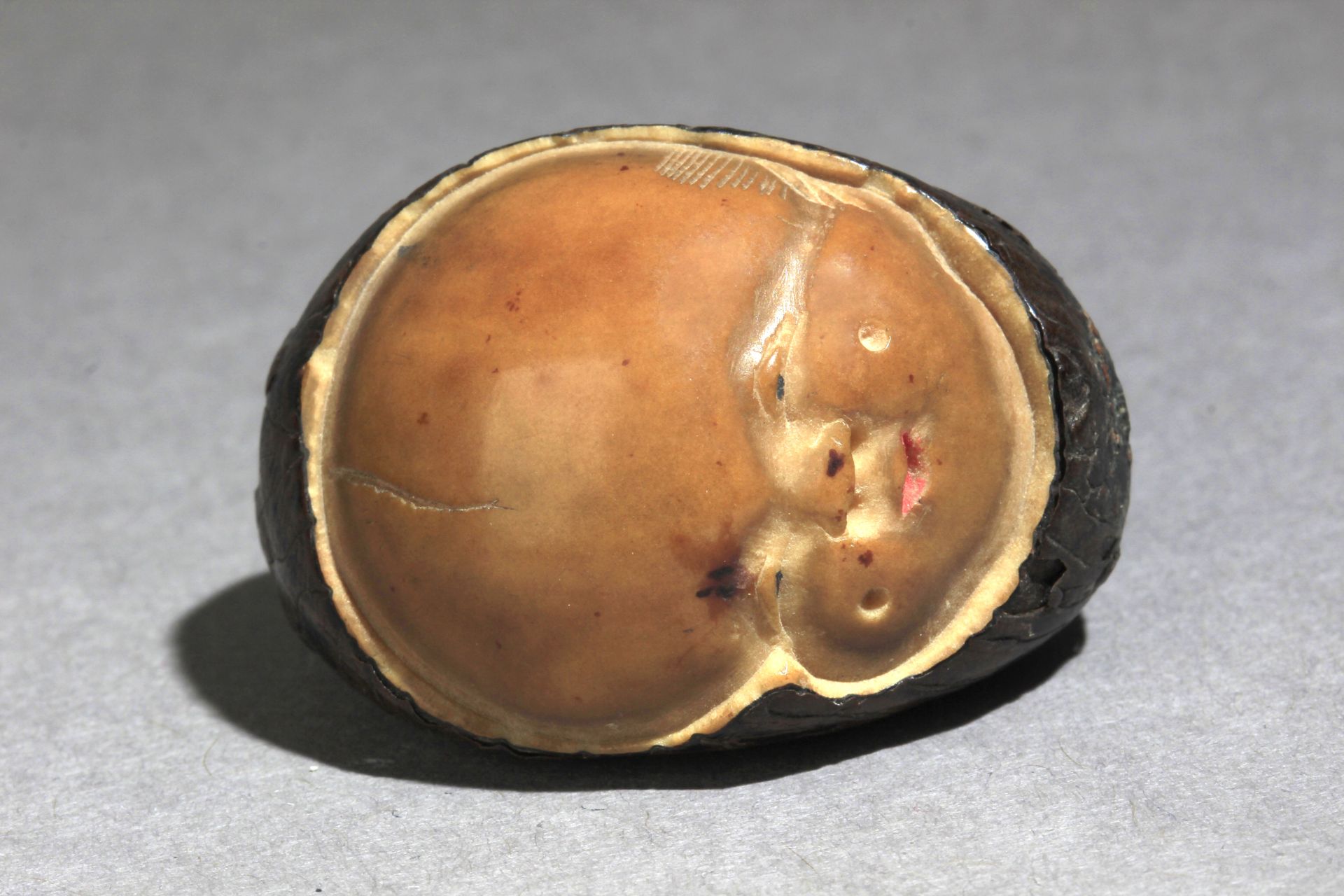 An early 19th century Japanese netsuke from Meiji period. Signed - Image 4 of 7