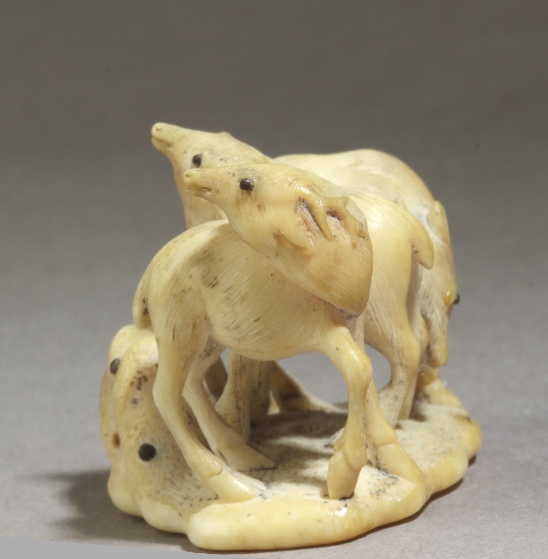 A late 19th century Japanese netsuke from Meiji period. Signed Masayuki - Image 3 of 6