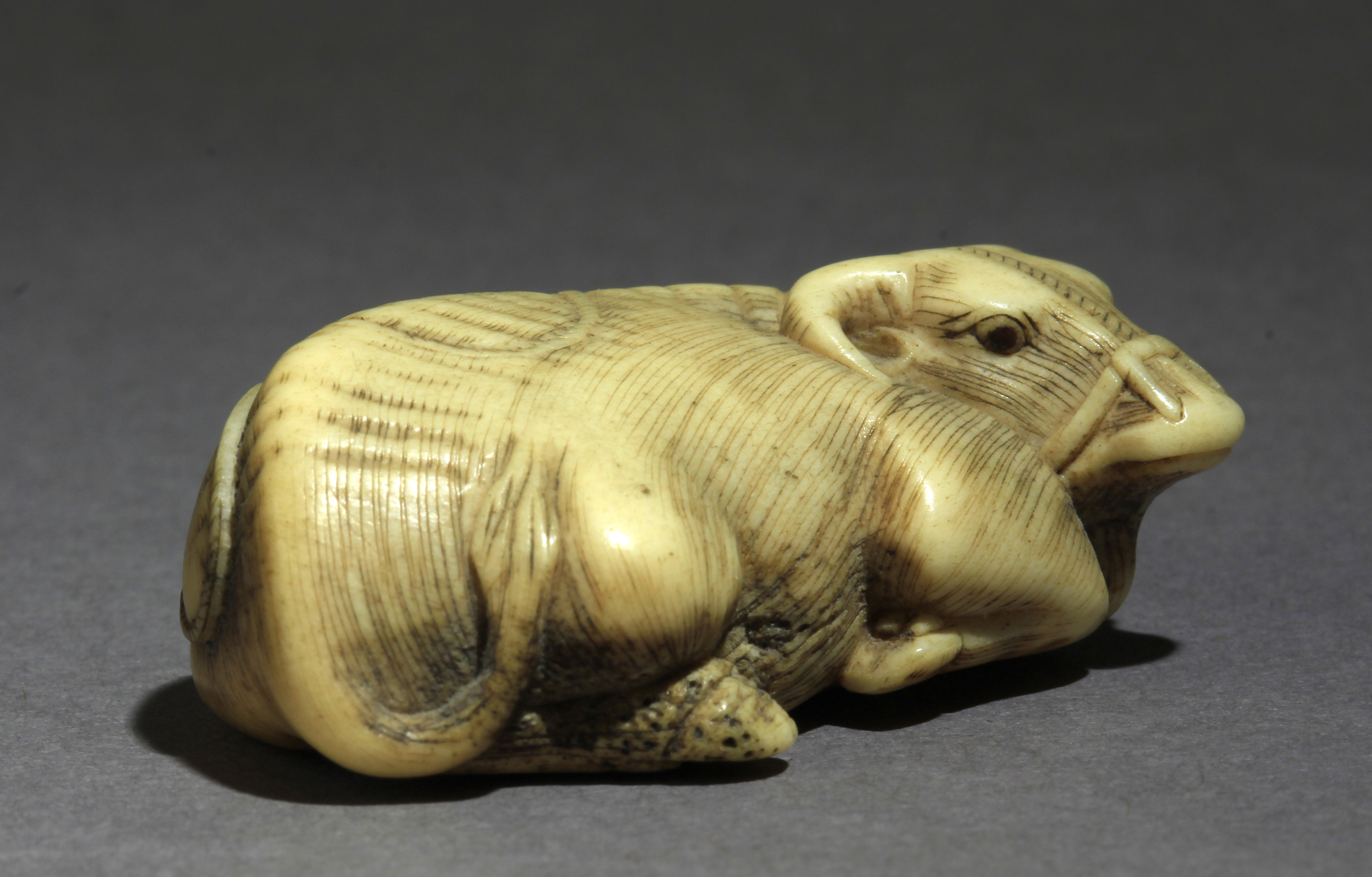 An early 19th century Japanese netsuke from Edo period - Image 6 of 7