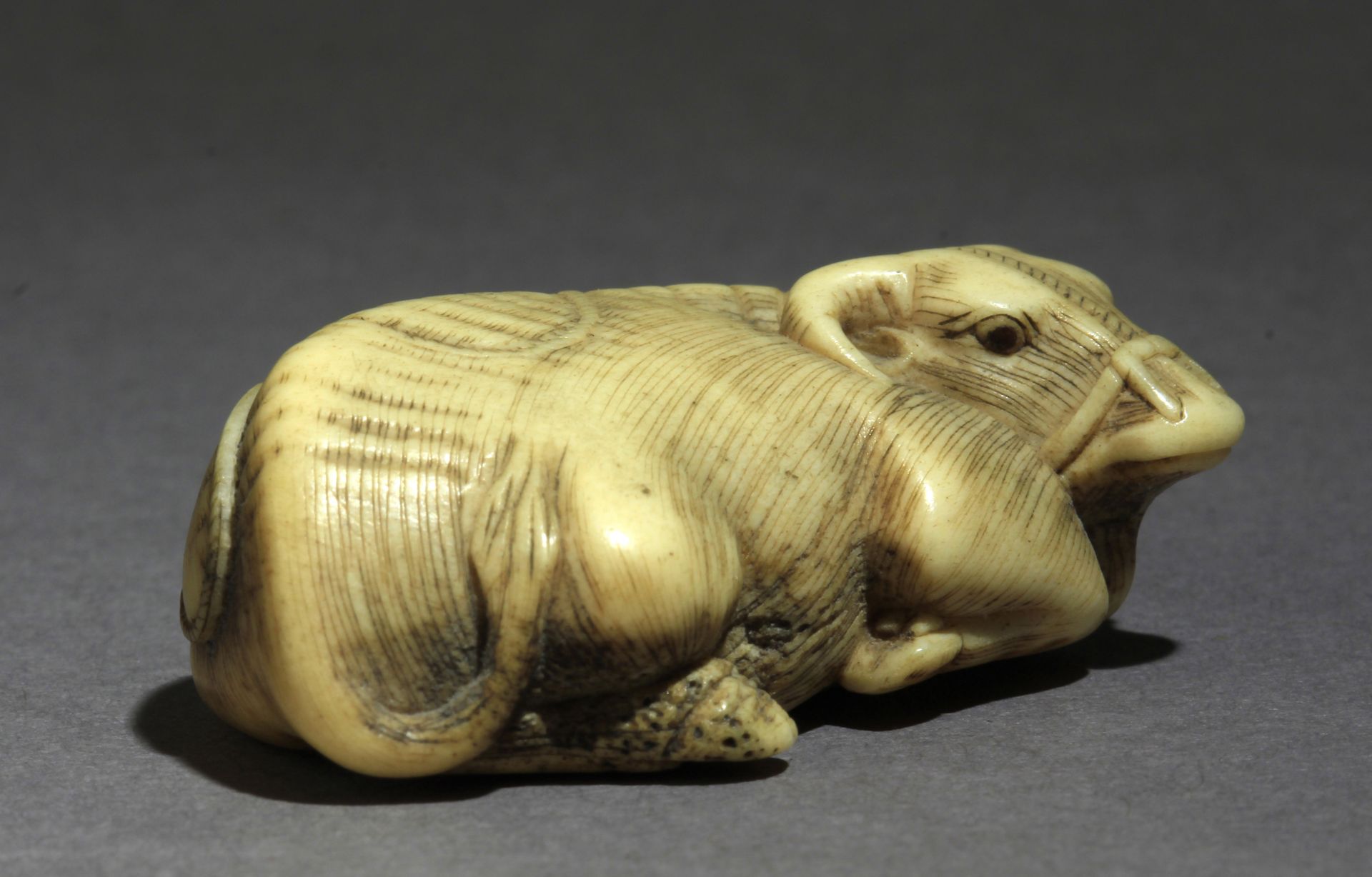 An early 19th century Japanese netsuke from Edo period - Bild 6 aus 7