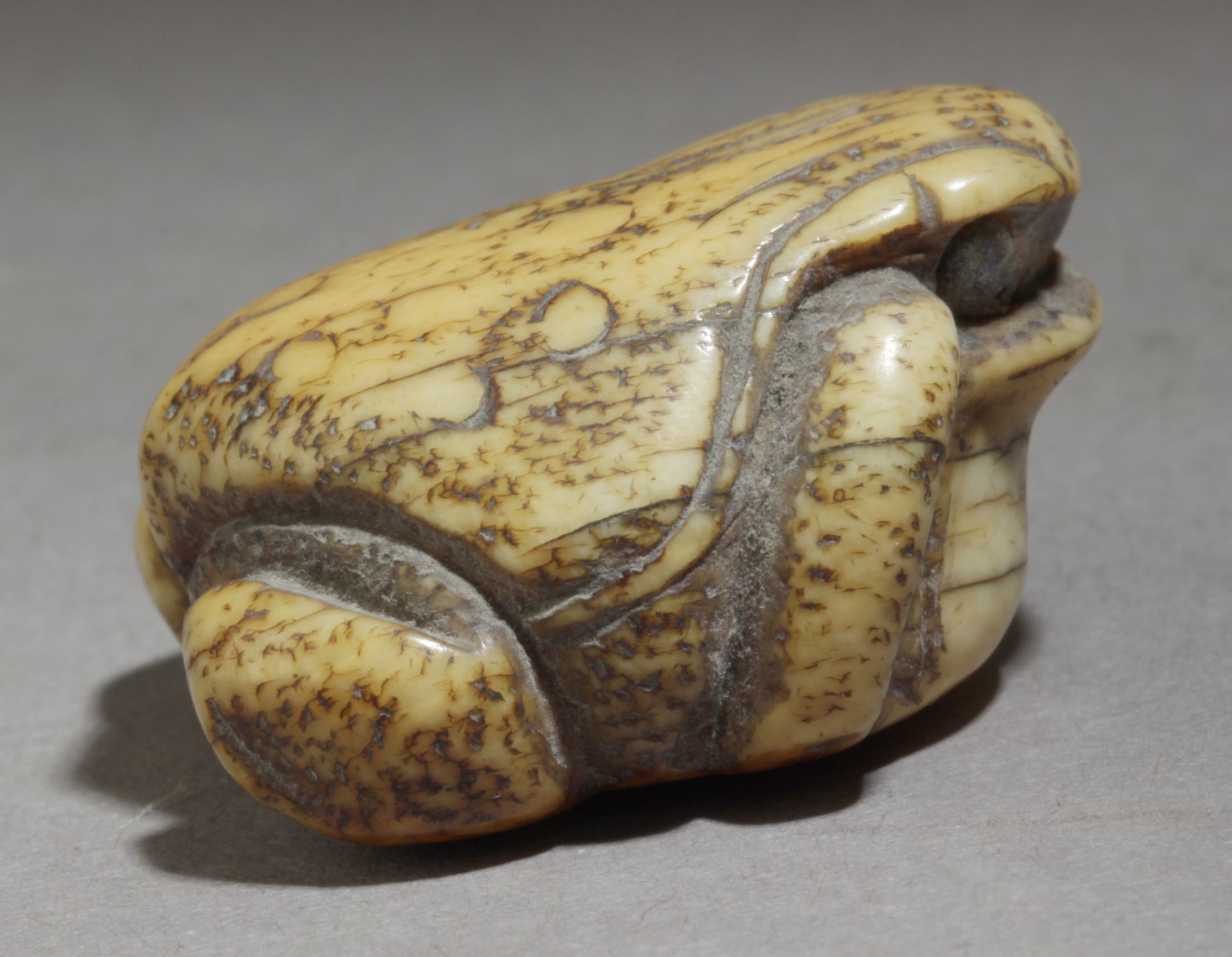 A 19th century Japanese netsuke - Image 3 of 5