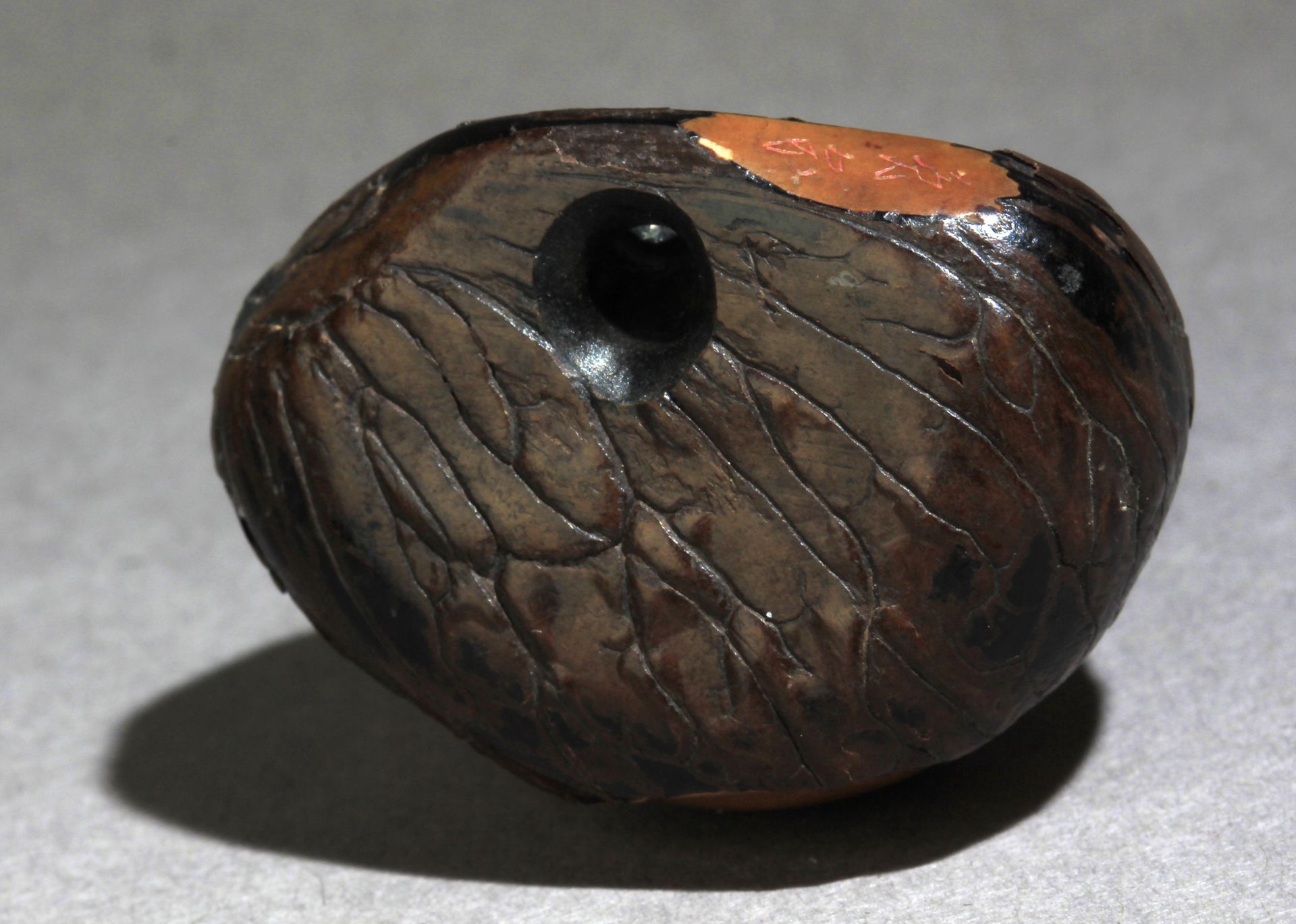An early 19th century Japanese netsuke from Meiji period. Signed - Image 6 of 7