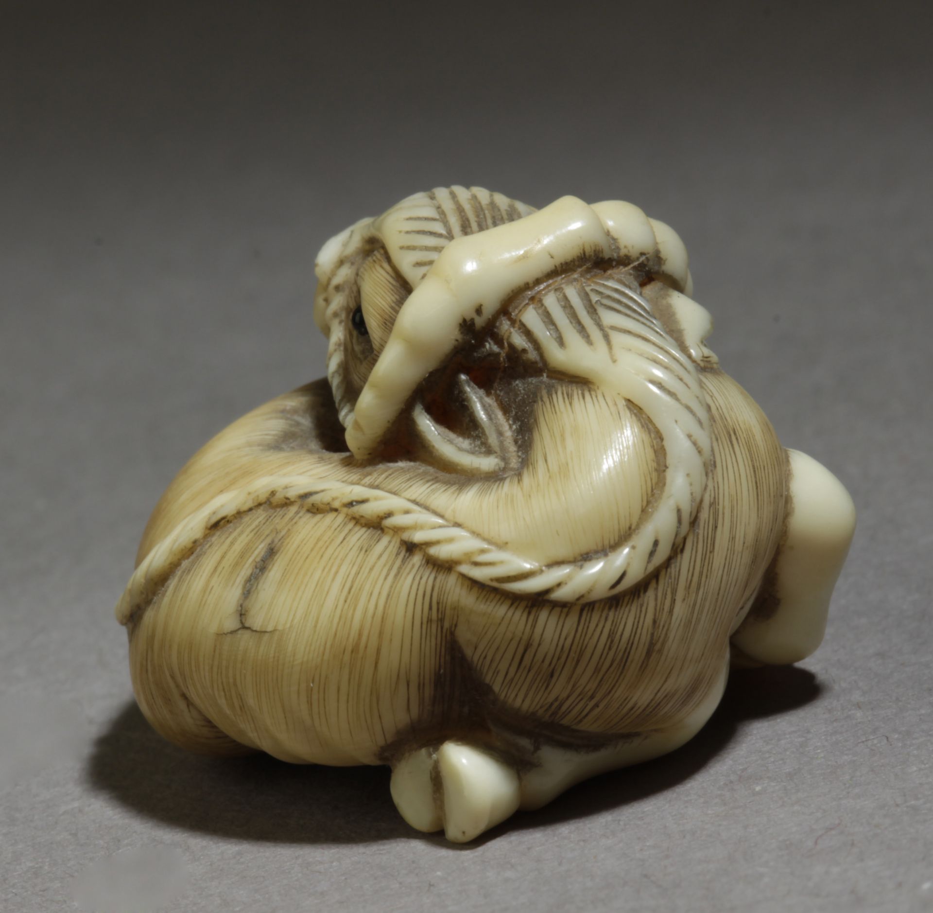 A 19th century Japanese netsuke. Signed Tomozan - Bild 3 aus 6