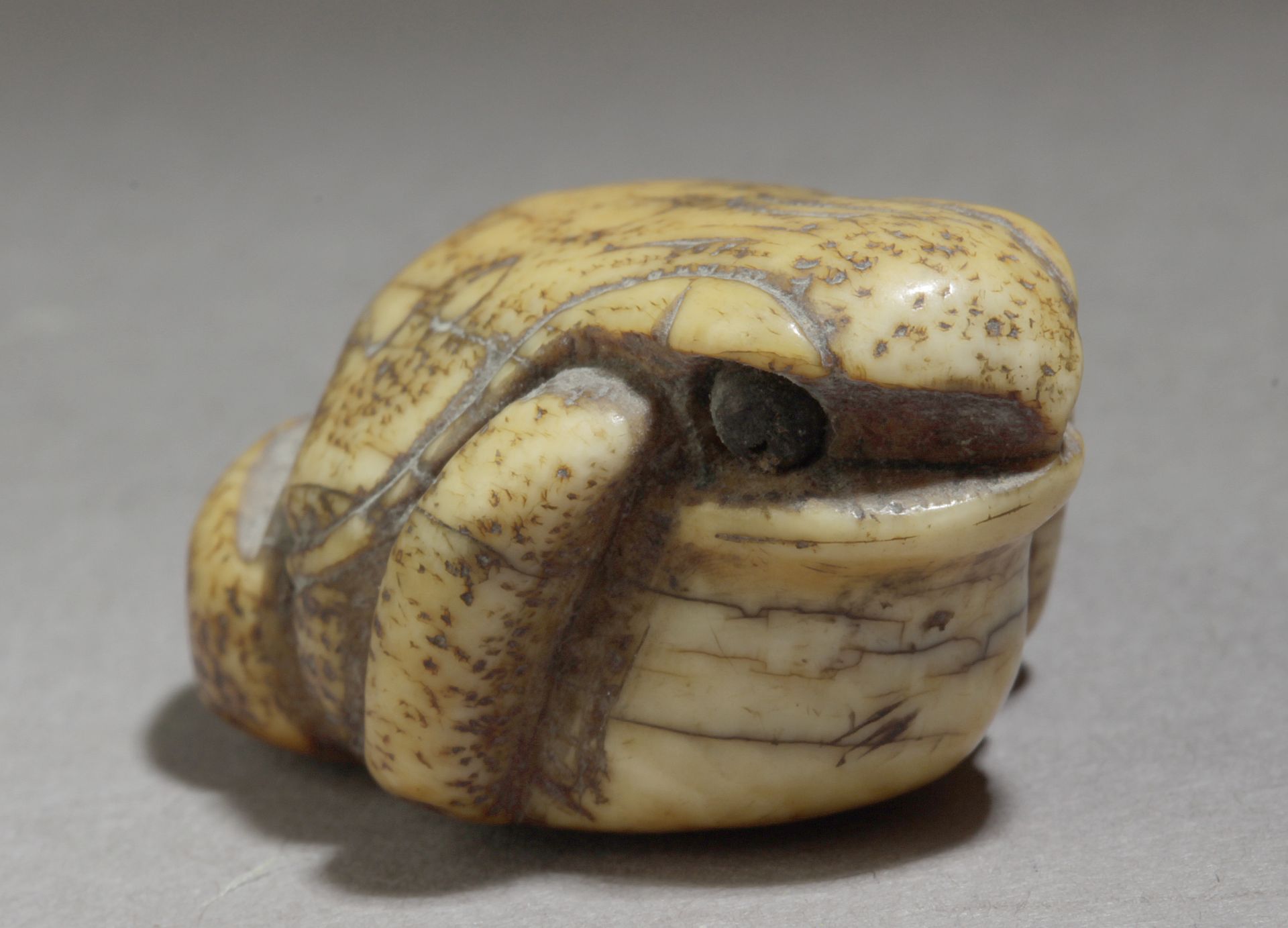 A 19th century Japanese netsuke - Bild 2 aus 5