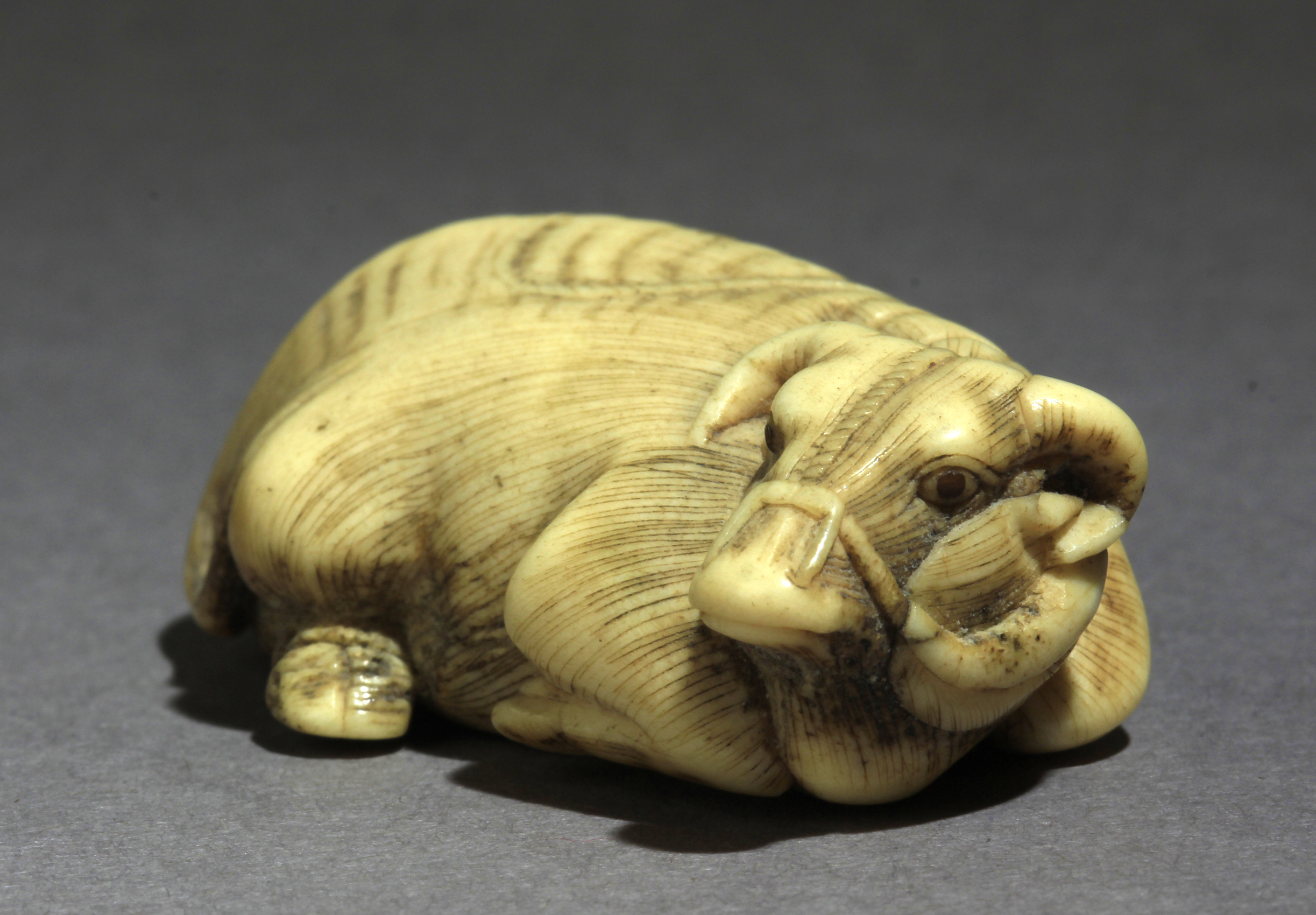 An early 19th century Japanese netsuke from Edo period - Image 2 of 7