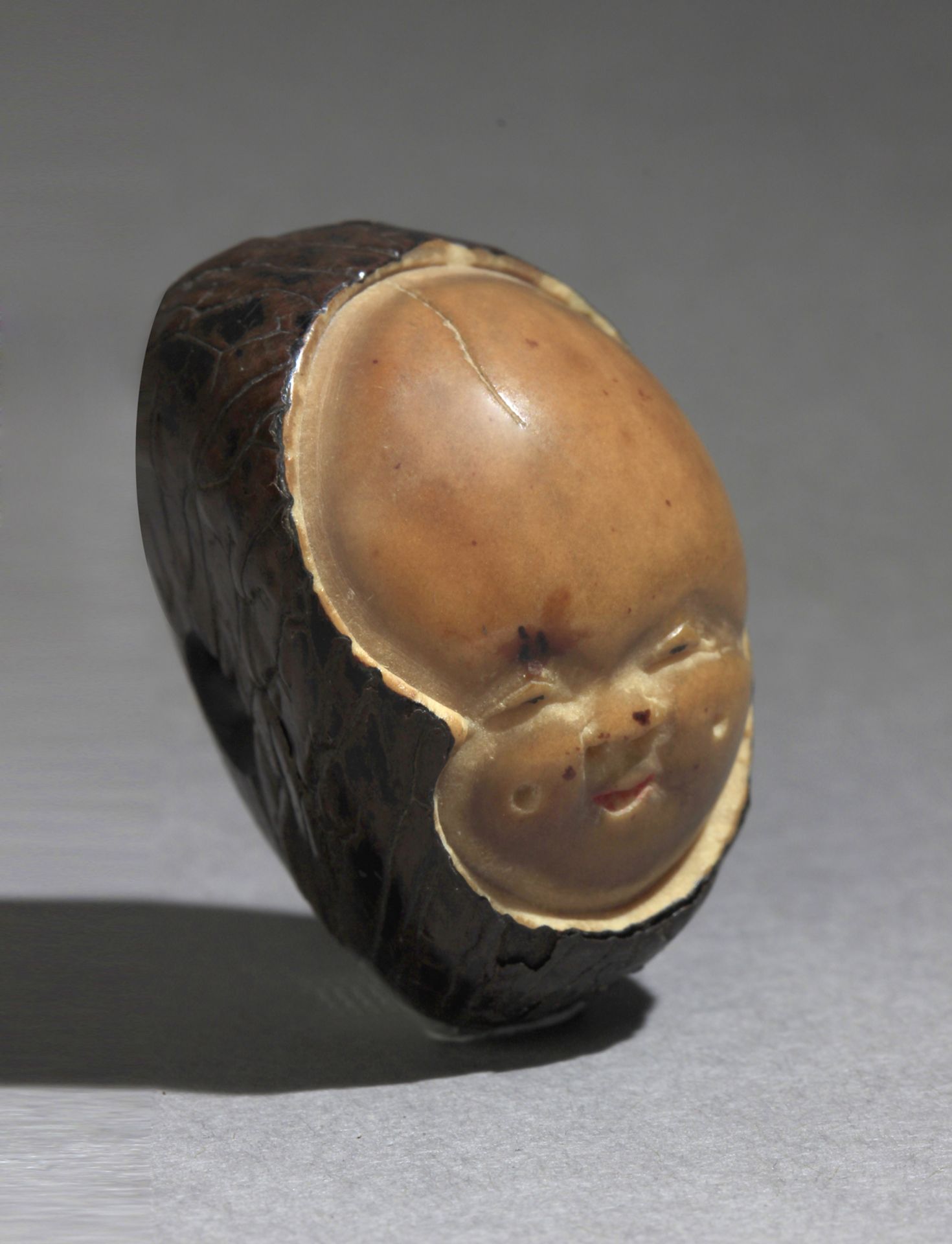 An early 19th century Japanese netsuke from Meiji period. Signed - Image 7 of 7