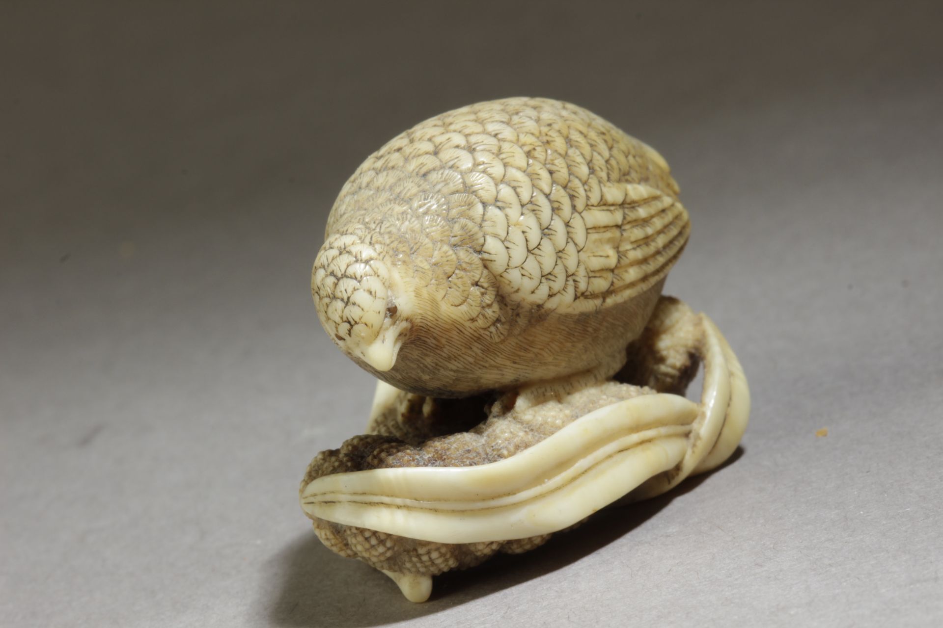 A 19th century Japanese netsuke. Signed Okatomo - Bild 5 aus 7