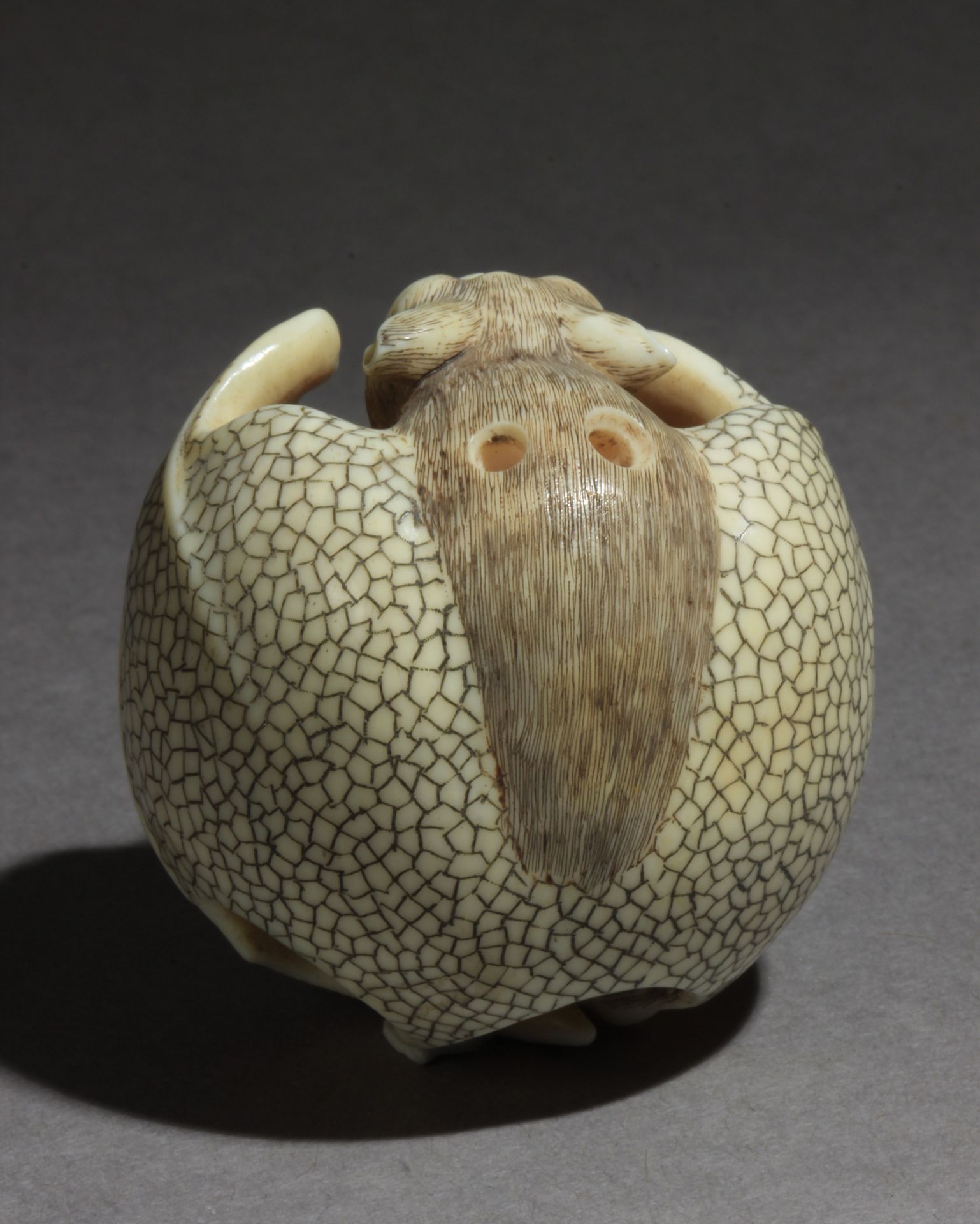 A Japanese netsuke from Showa-Heisei period - Image 5 of 12