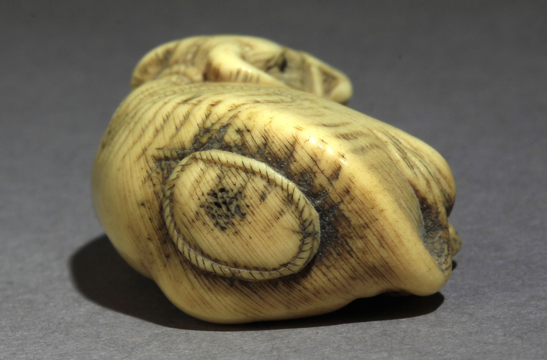 An early 19th century Japanese netsuke from Edo period - Image 5 of 7