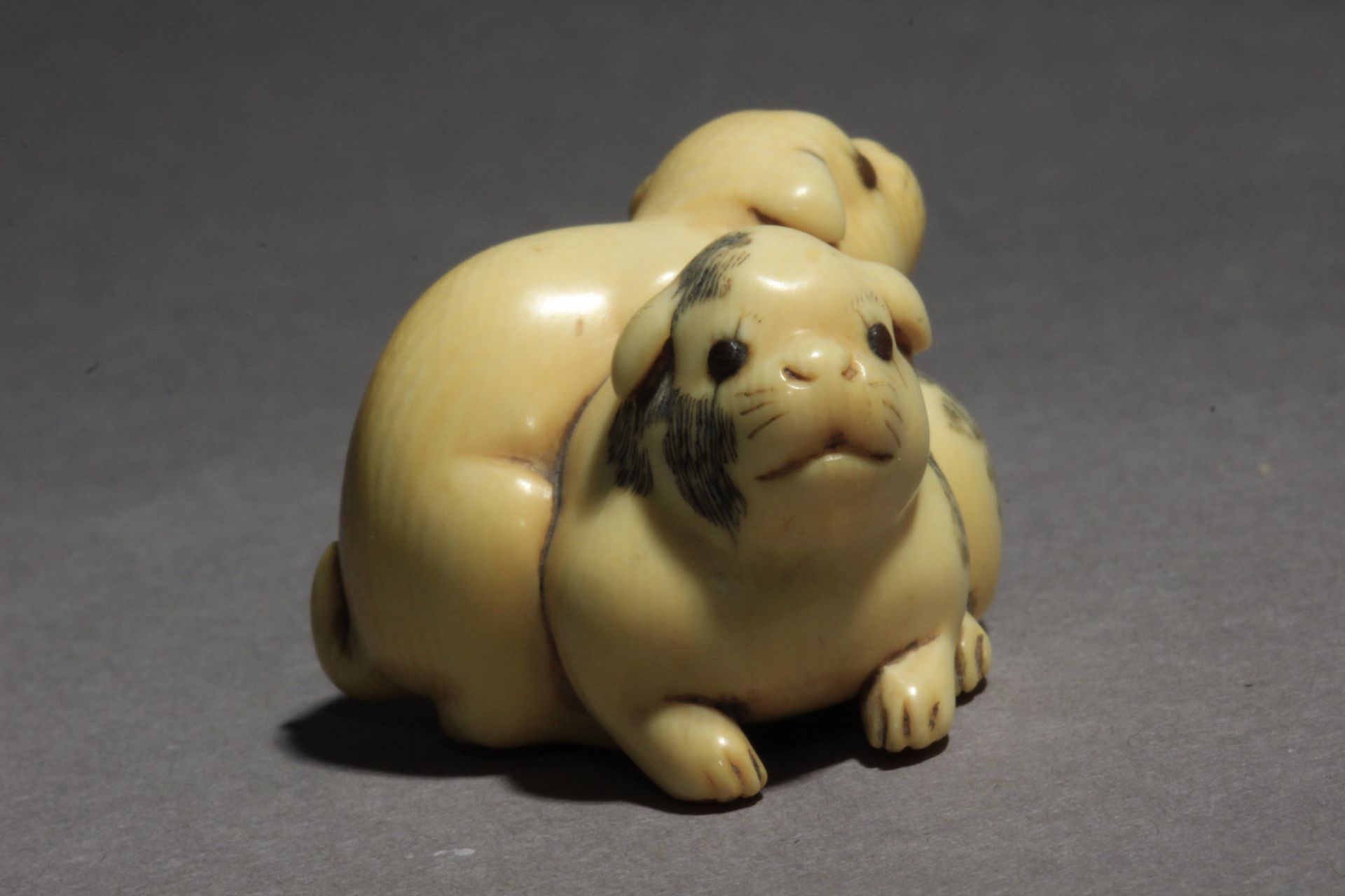 An early 19th century Japanese netsuke from Edo period. Signed Tomotaka? - Bild 2 aus 8