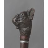 A 19th century walking stick.