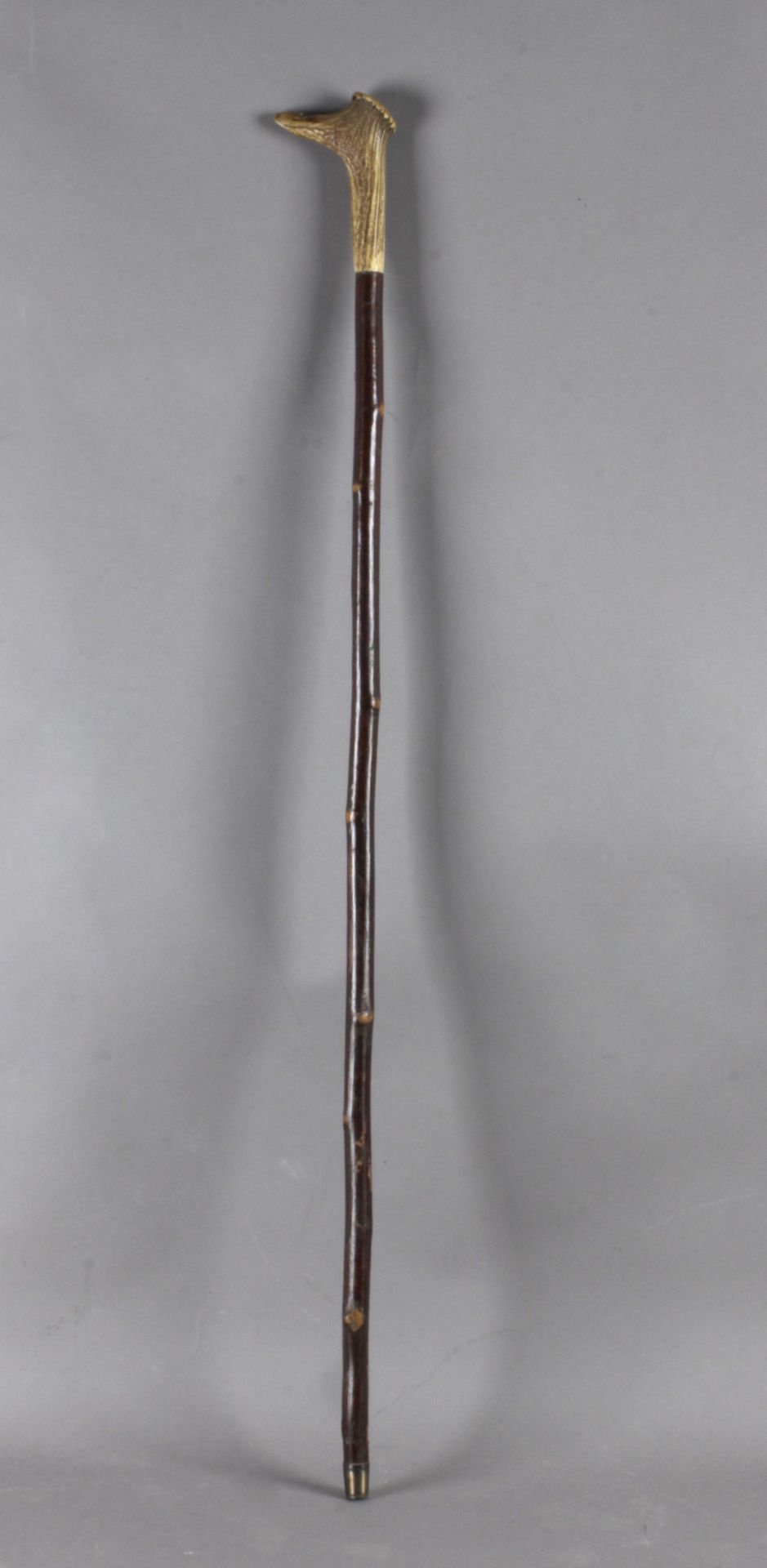 A walking stick circa 1900. - Image 3 of 4