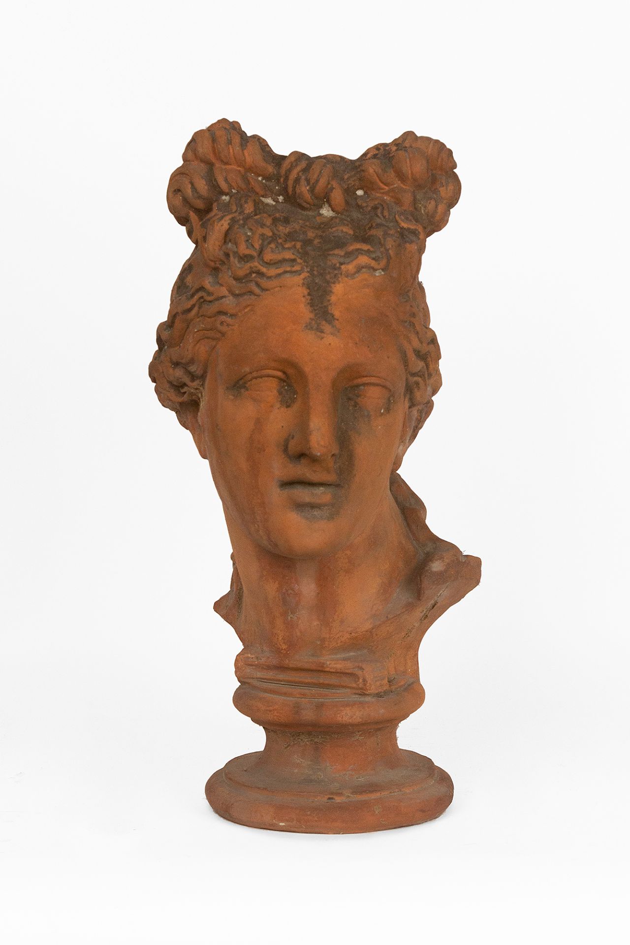 A classic style bust of the Capitoline Venus circa 1900 in terracotta