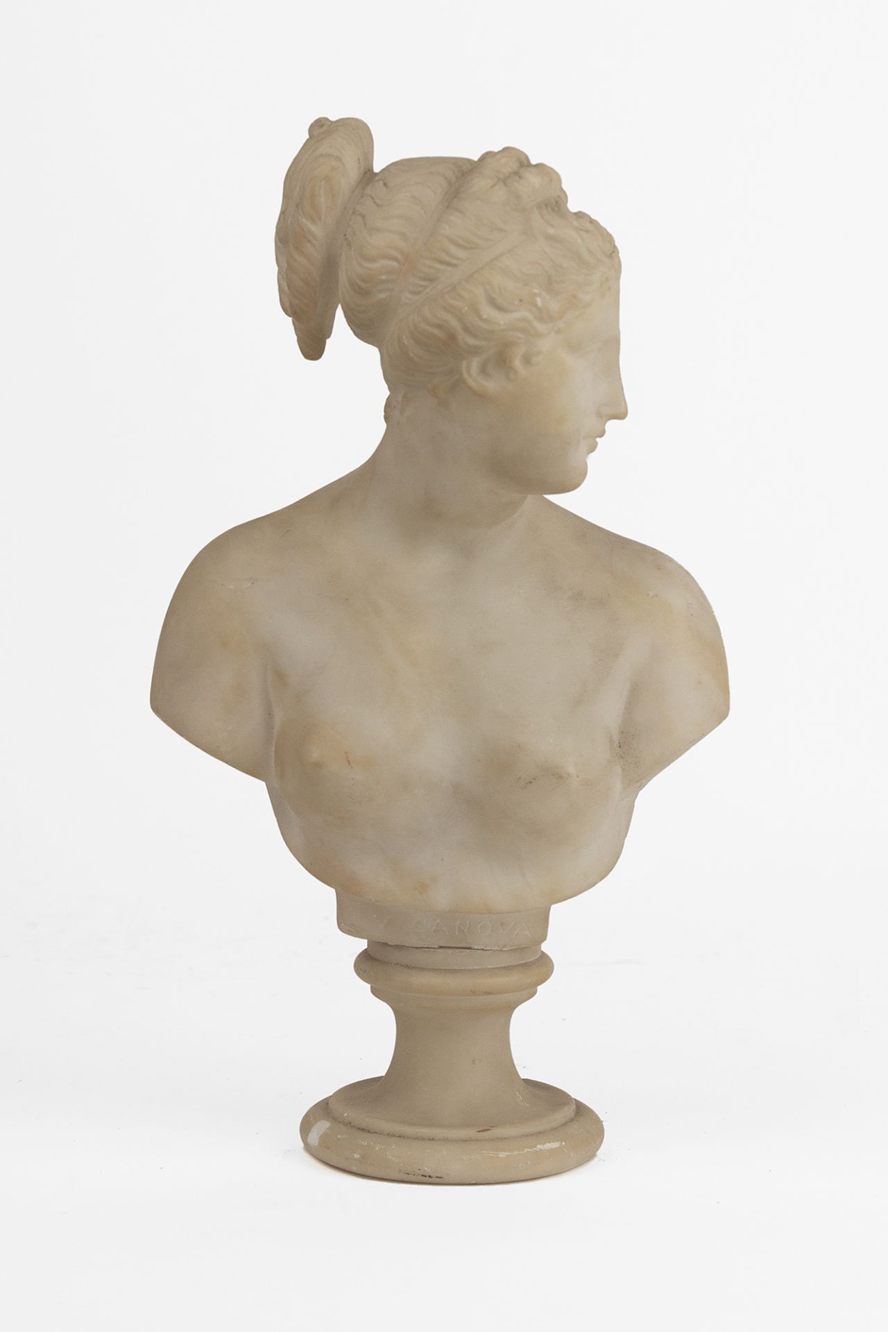 A first half of 20th century bust of Capitoline Venus in marble dust