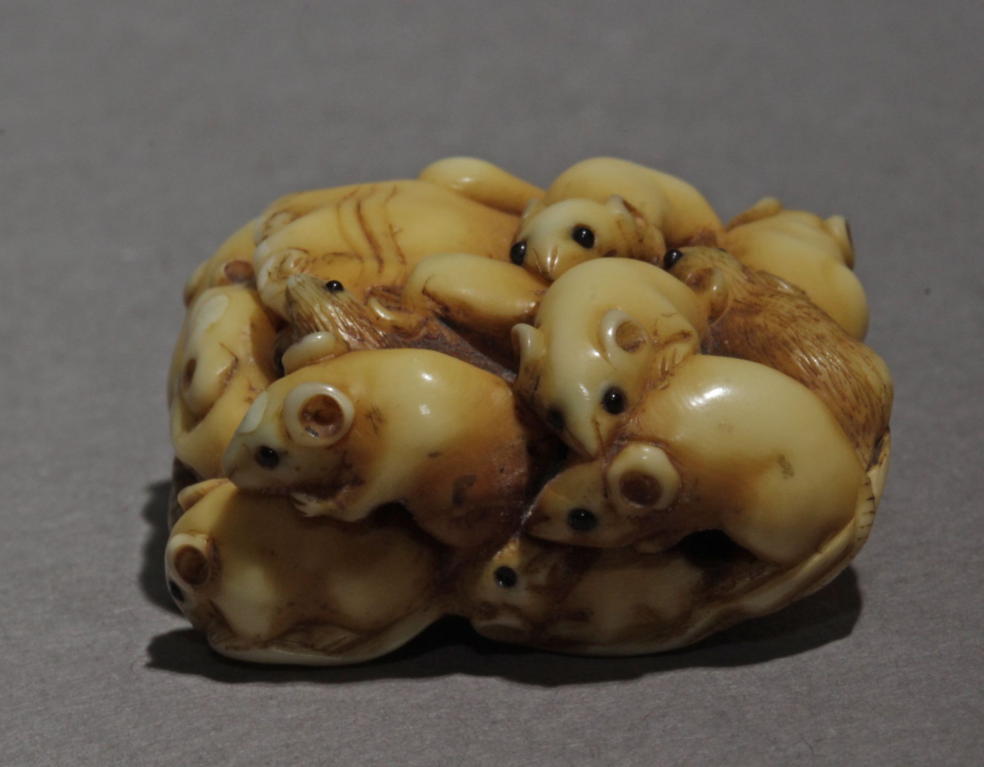 A mid 19th century Japanese netsuke from Edo period. Signed Ikko - Image 5 of 9