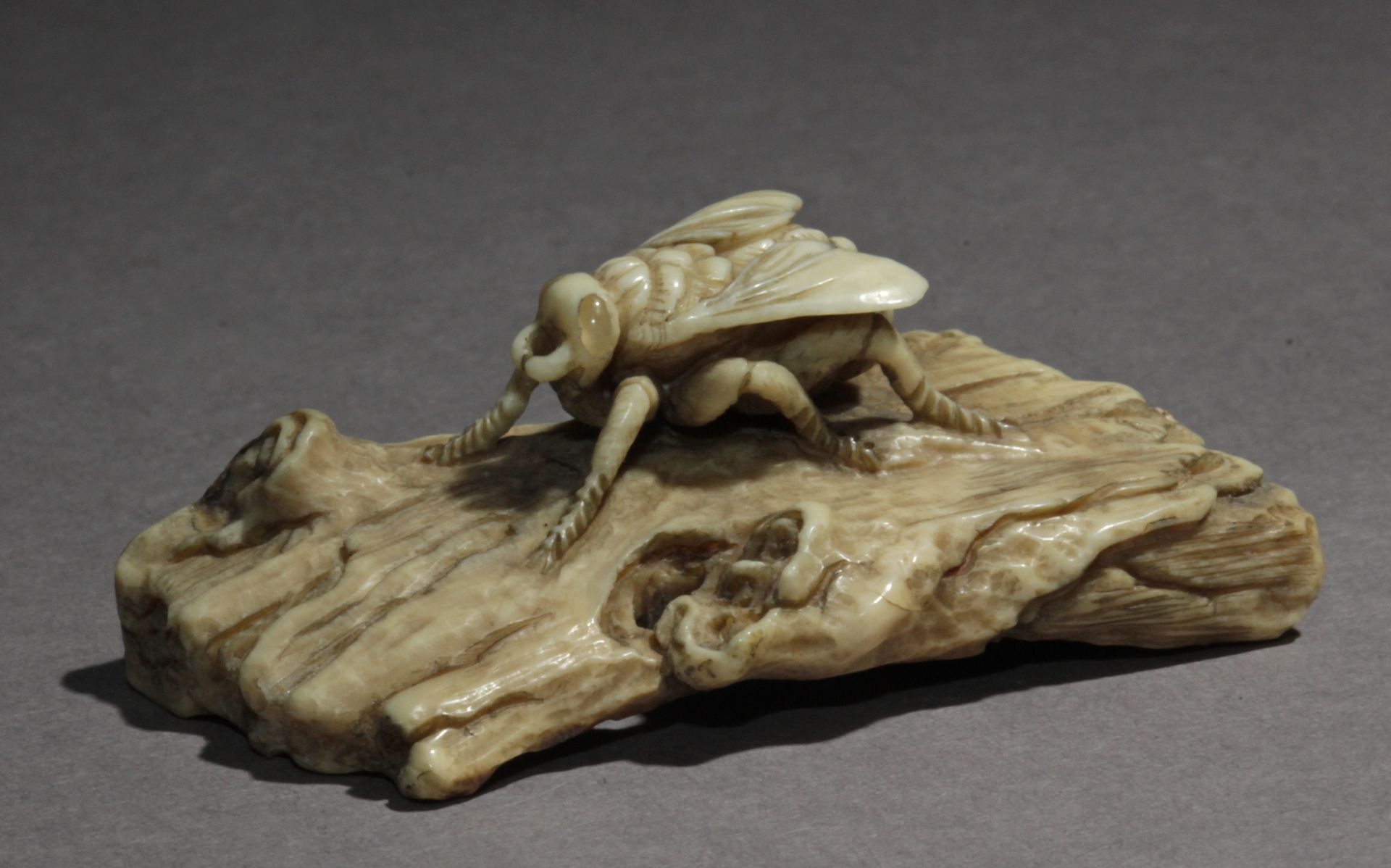 A Japanese netsuke from Meiji period circa 1900. Signed Yama Aki?