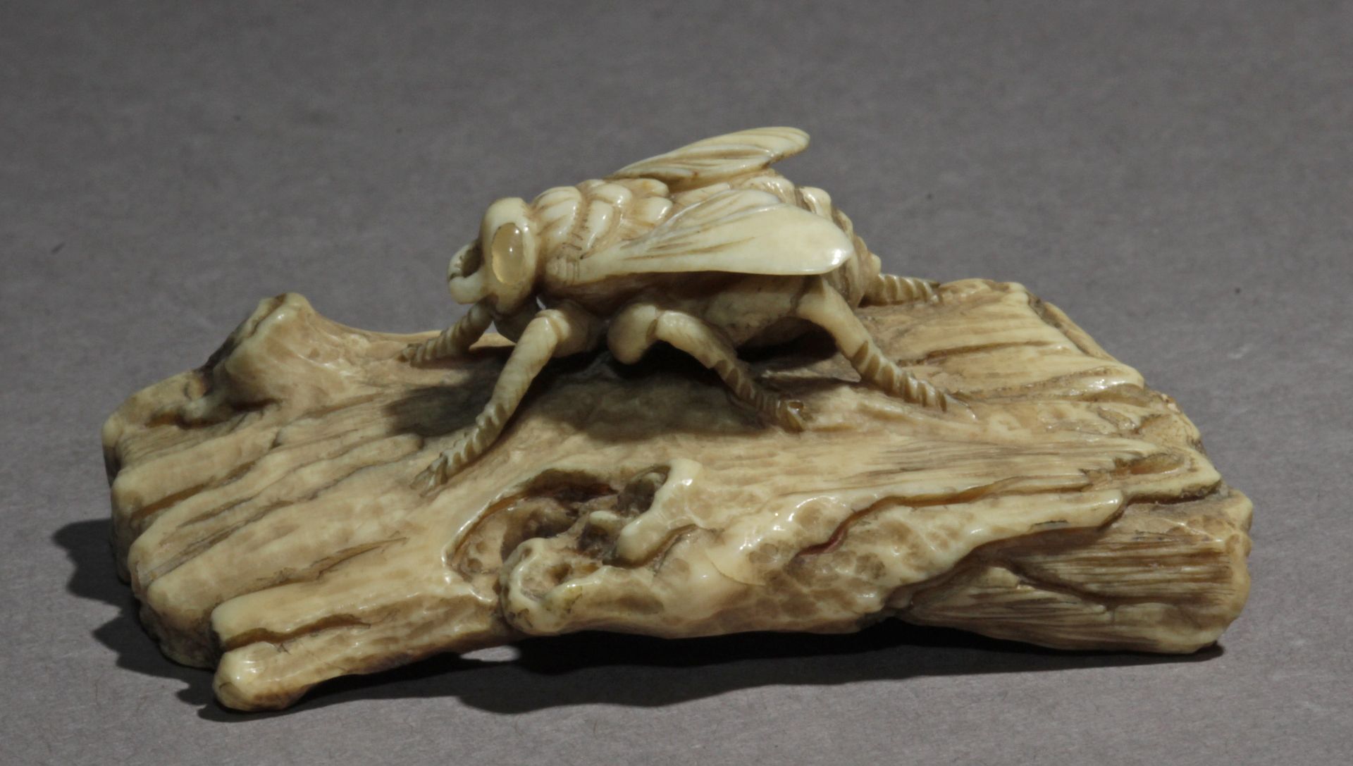 A Japanese netsuke from Meiji period circa 1900. Signed Yama Aki? - Image 5 of 7