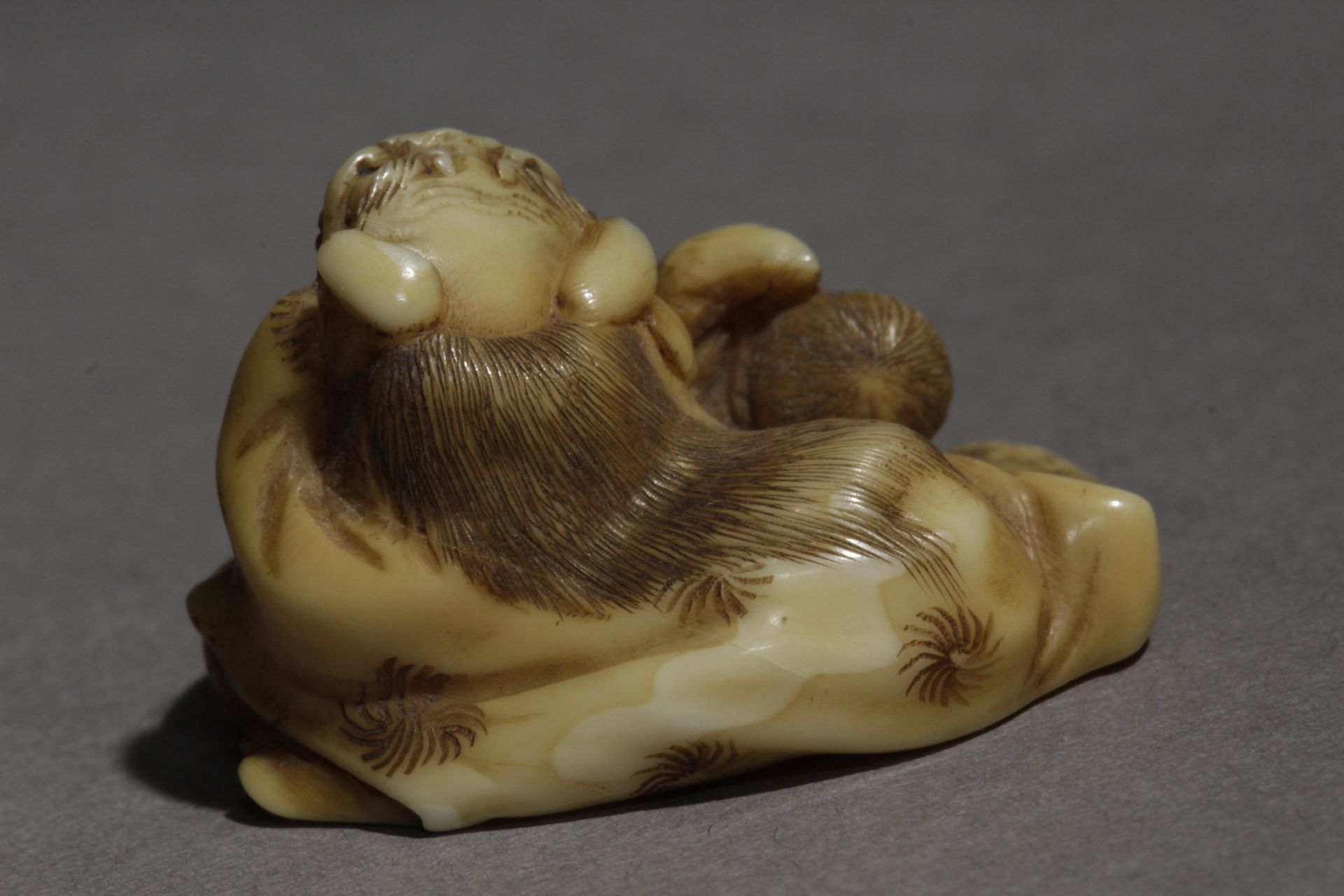 A Japanese netsuke circa 1860-1880 from Meiji period. Signed Gyokuichi - Image 5 of 9