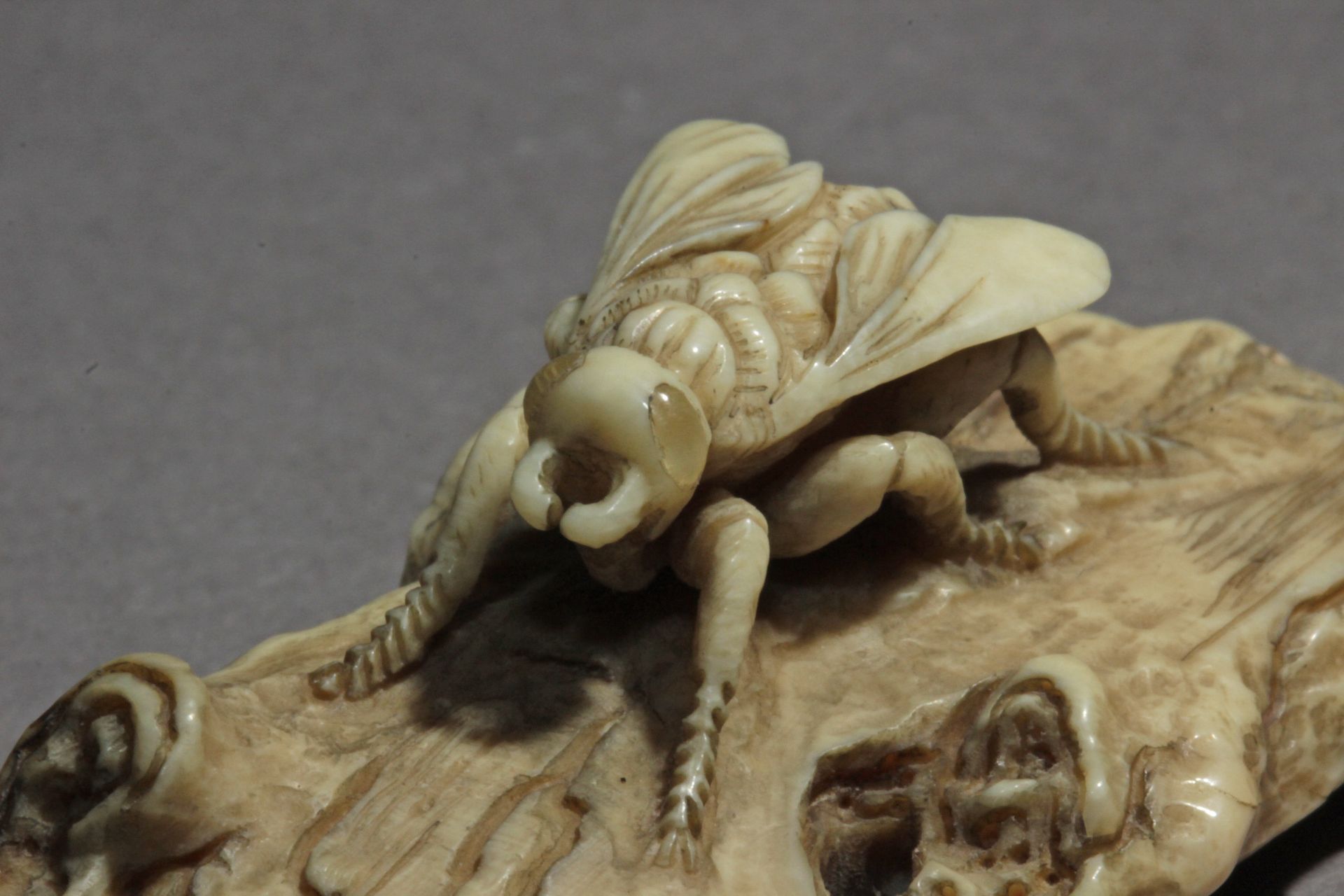 A Japanese netsuke from Meiji period circa 1900. Signed Yama Aki? - Image 6 of 7