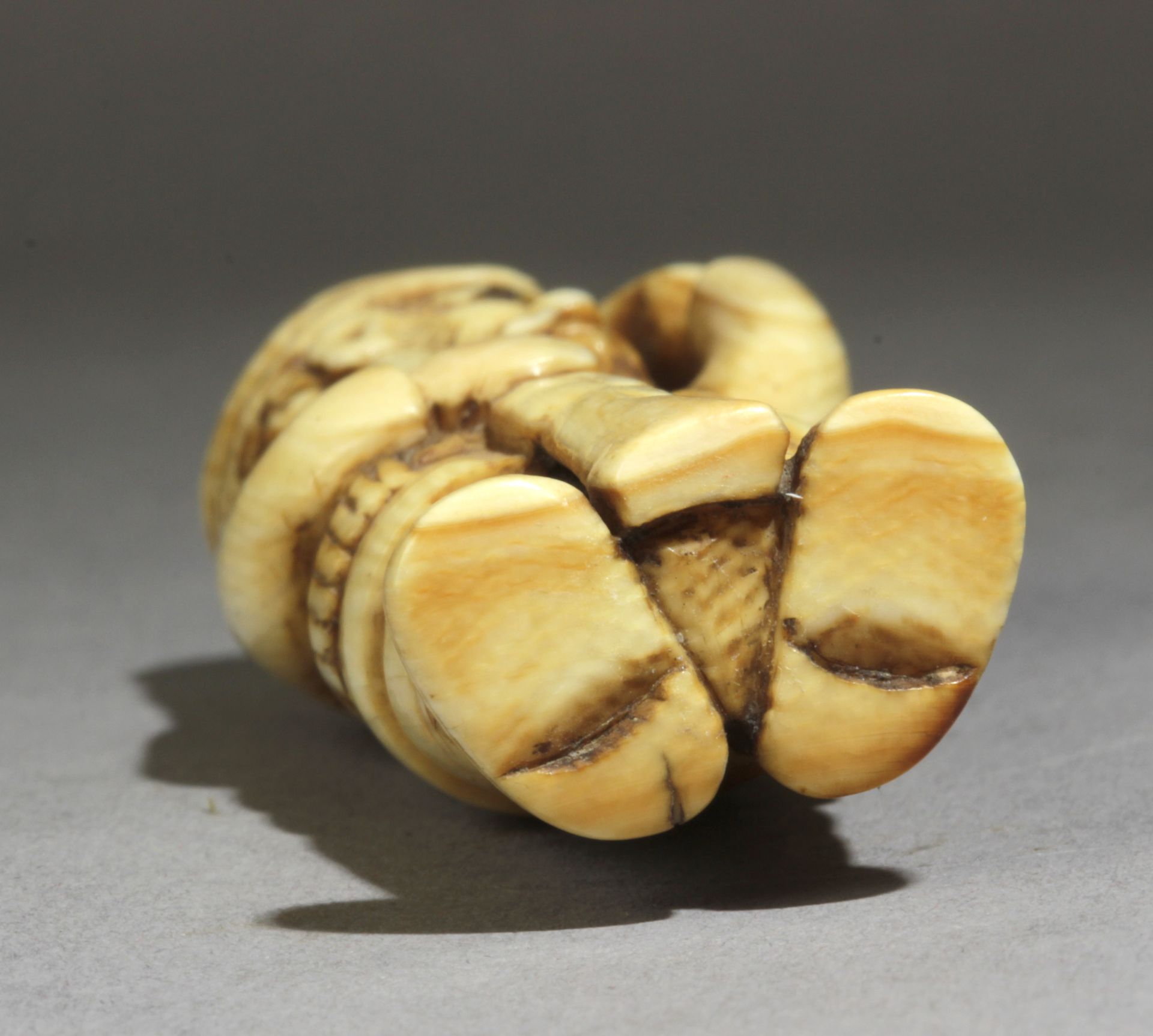 A 19th century Japanese netsuke from Meiji period - Image 6 of 6