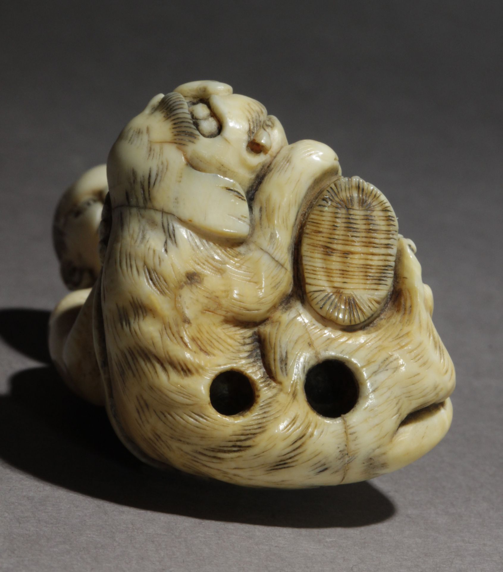 An early 19th century Japanese netsuke from Meiji period - Image 6 of 6