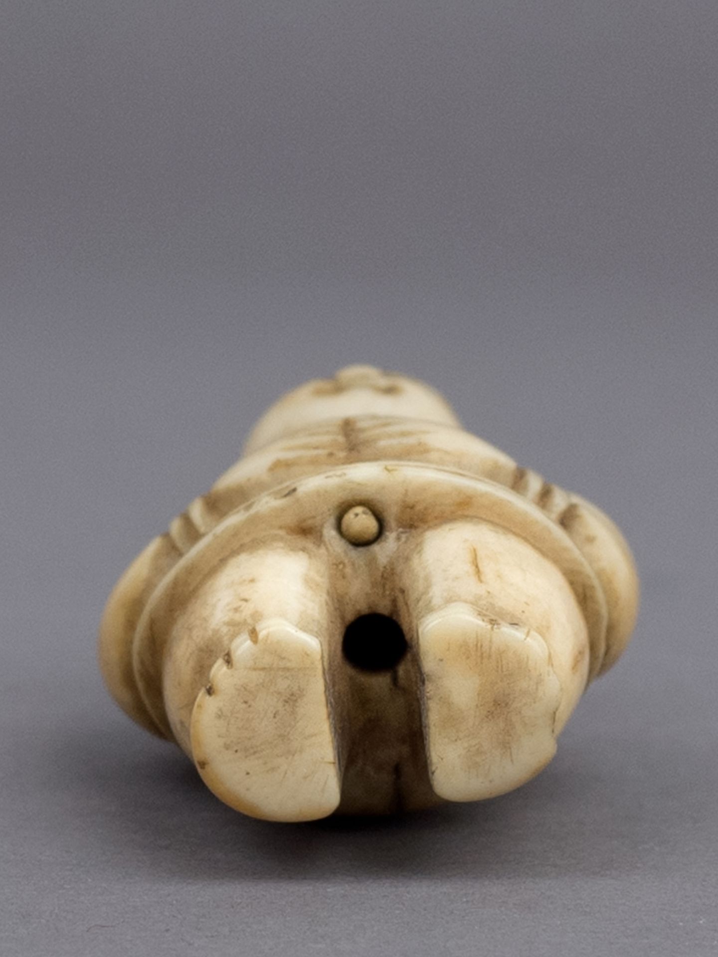 A 19th century Japanese netsuke from Meiji period - Image 5 of 5