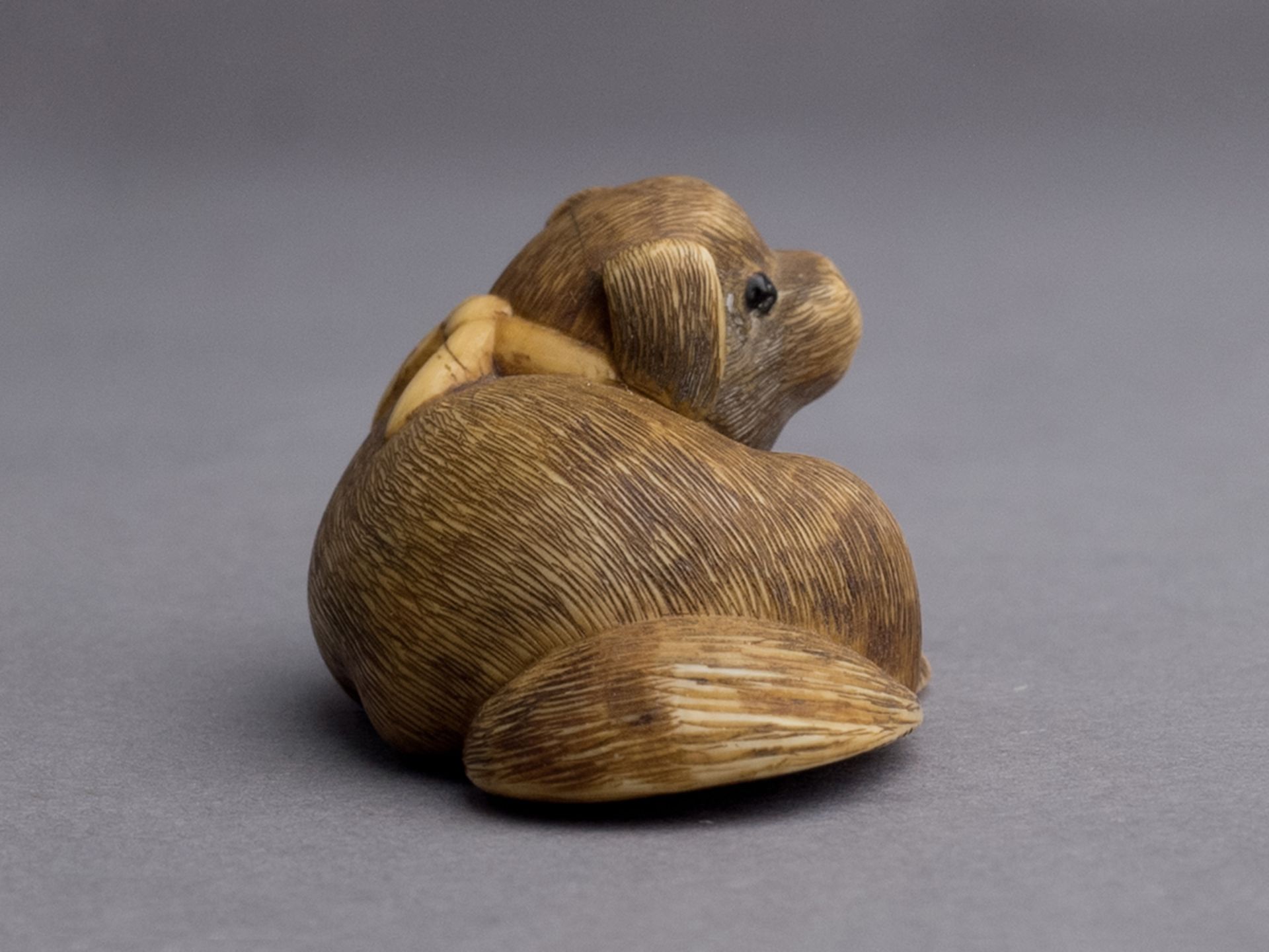 A 19th century Japanese netsuke from Meiji period - Image 2 of 5