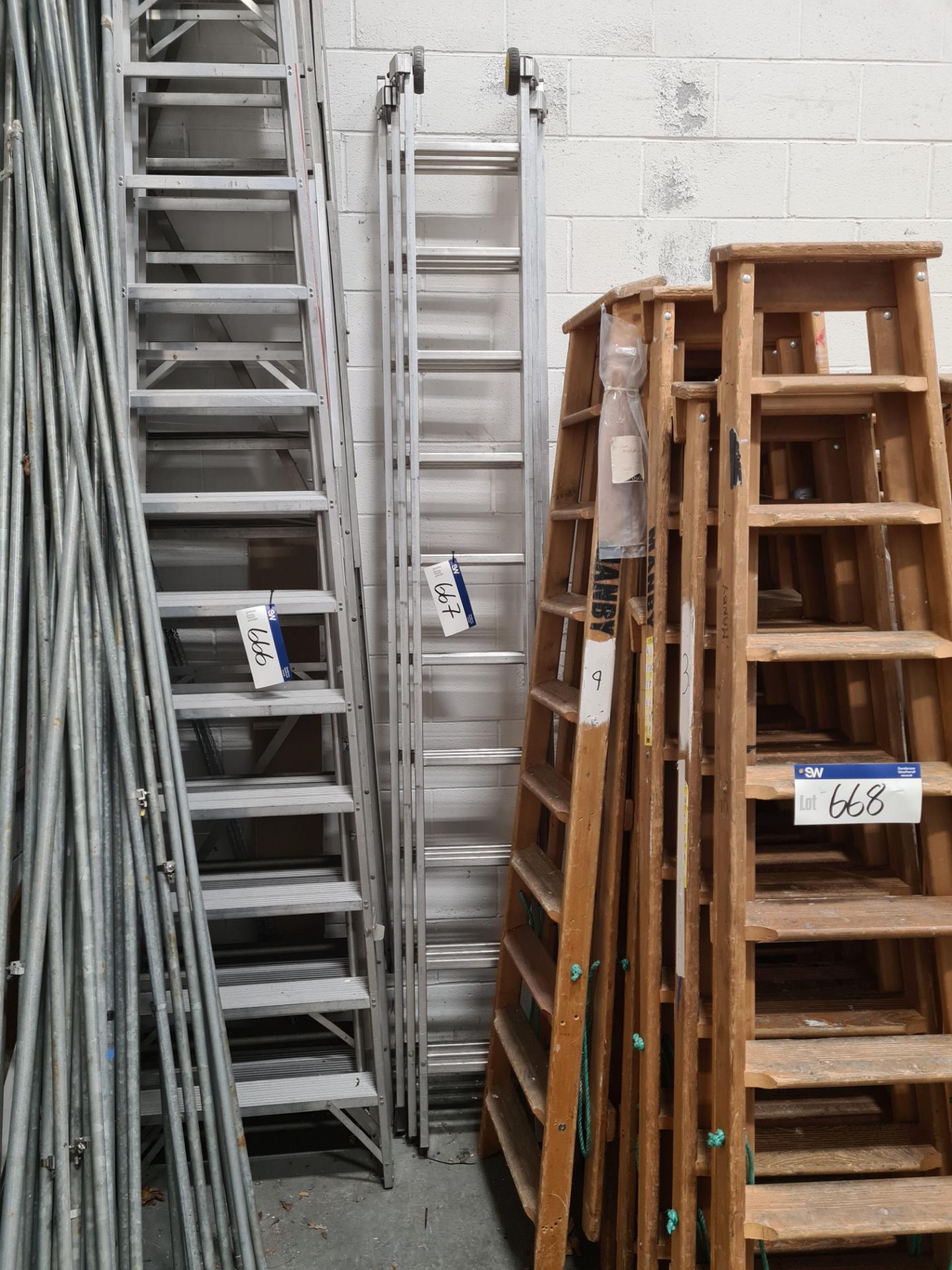 Triple Extension Alloy Ladder