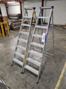 Two Youngman Eight Rise Alloy Stepladders