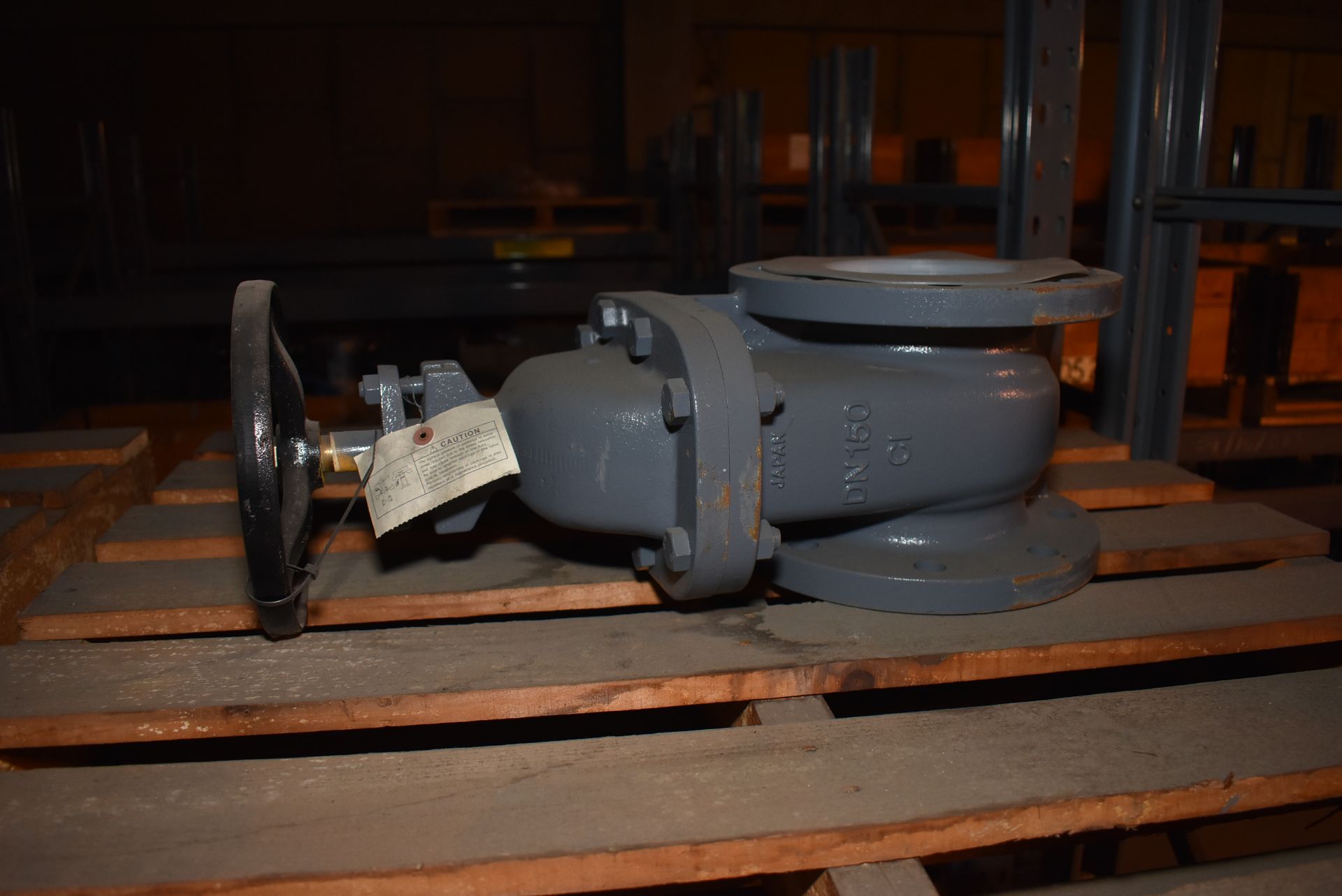 6in. Flanged Wedge Gate Valve (59-05-094) MS-MP083 (please note this lot is part of combination