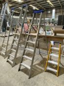 Six Rise Alloy Stepladder